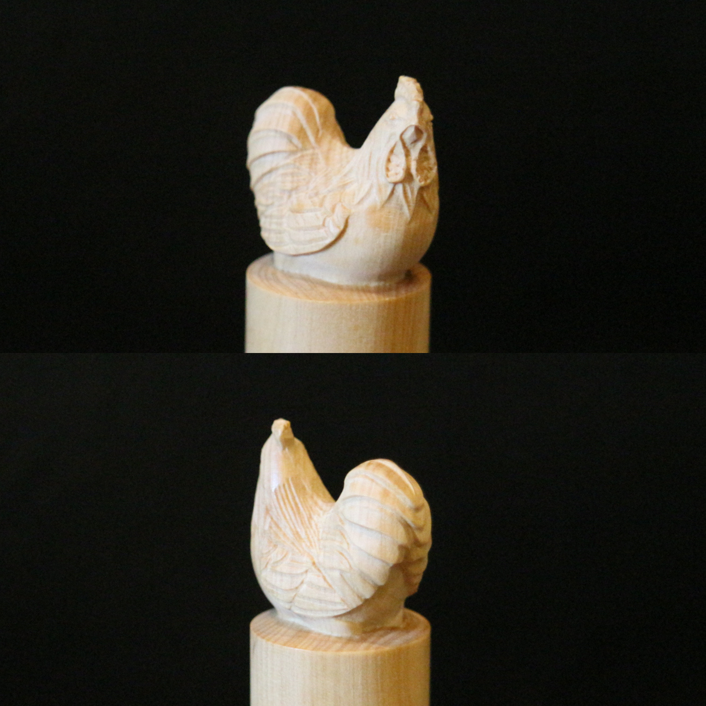 Boxwood Zodiac Seal