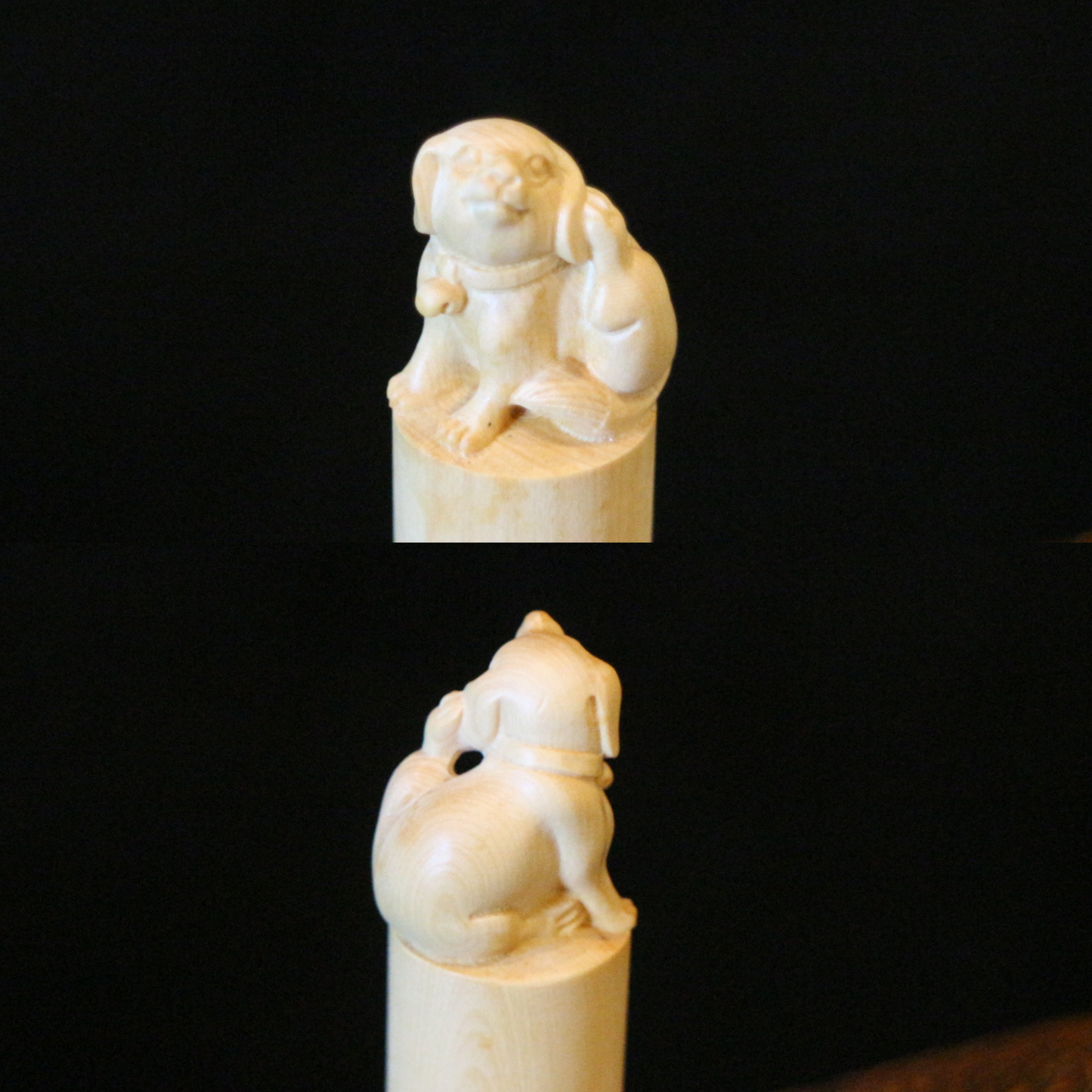 Boxwood Zodiac Seal