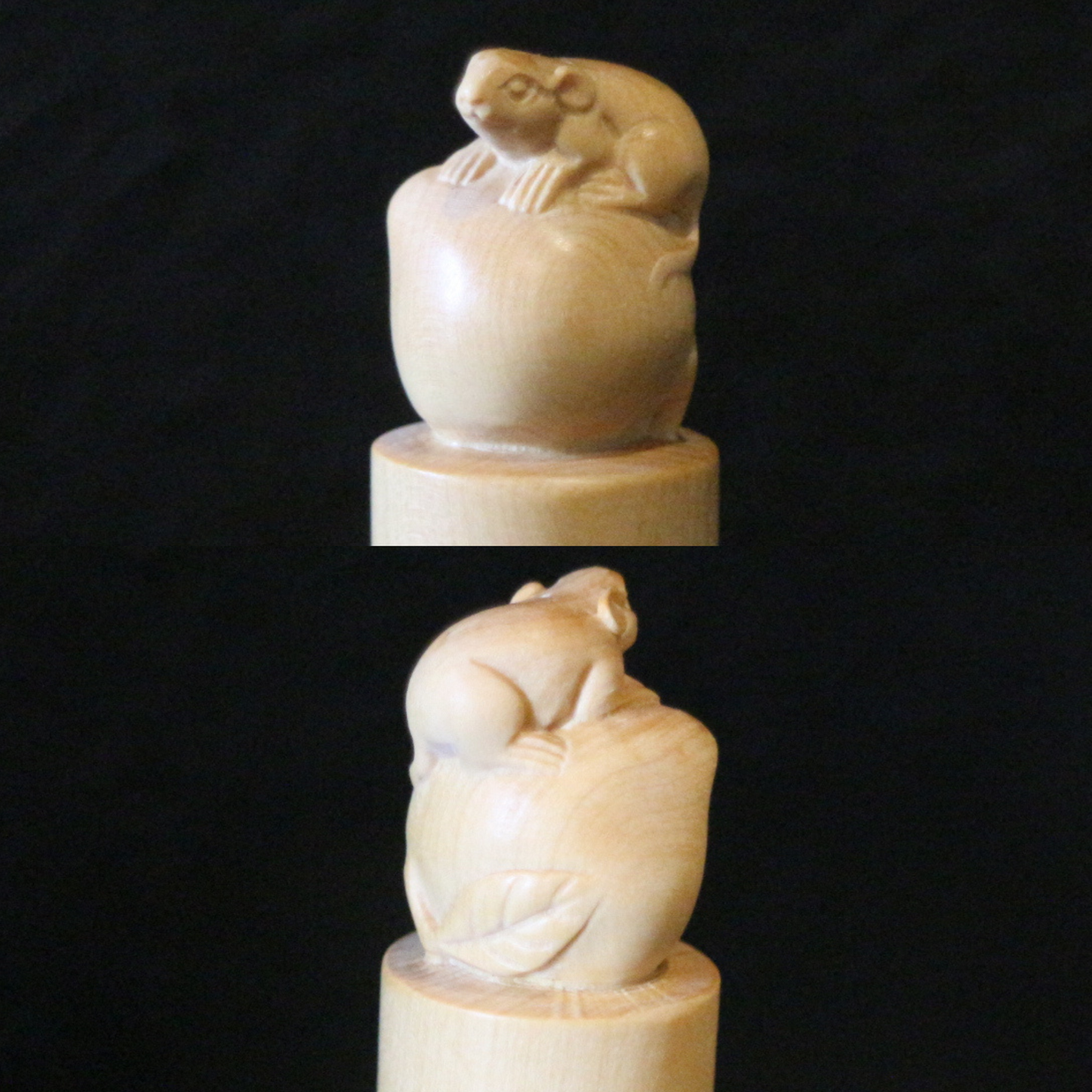 Boxwood Zodiac Seal