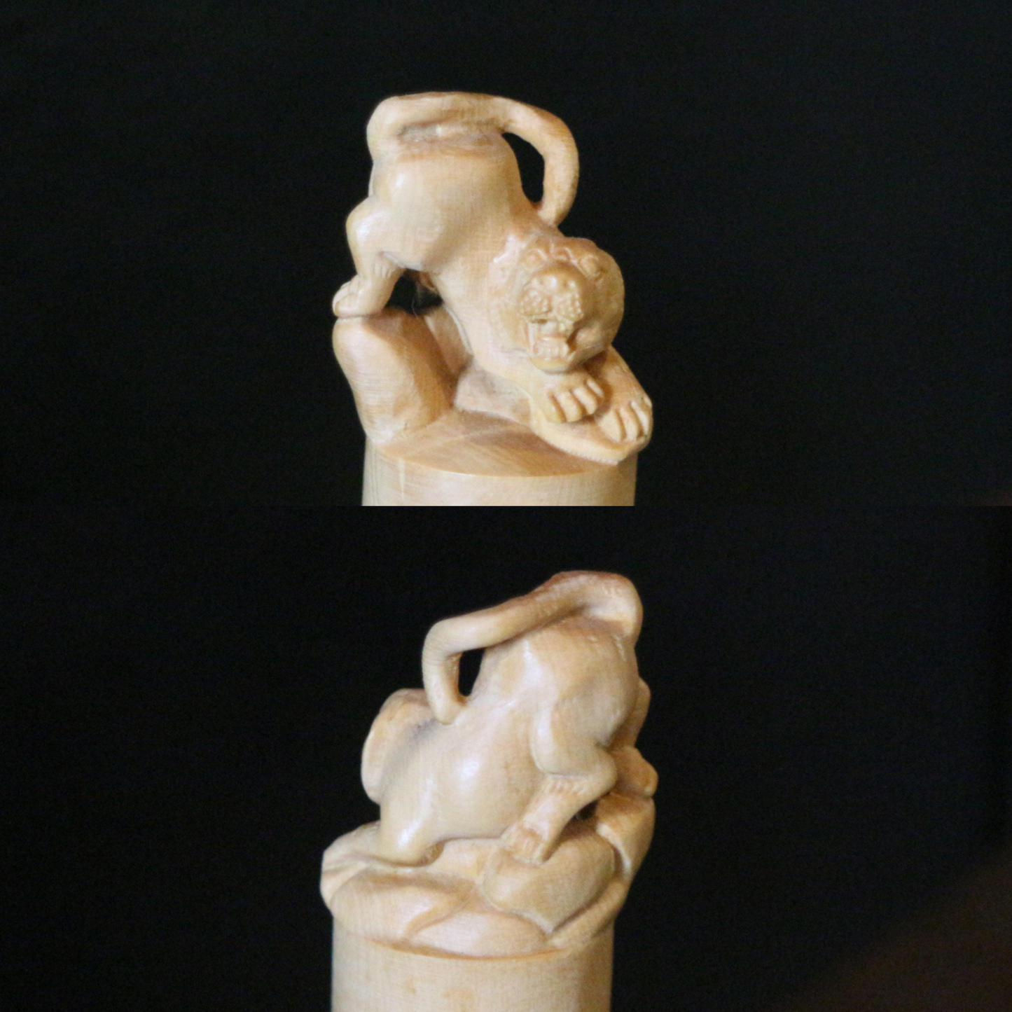 Boxwood Zodiac Seal