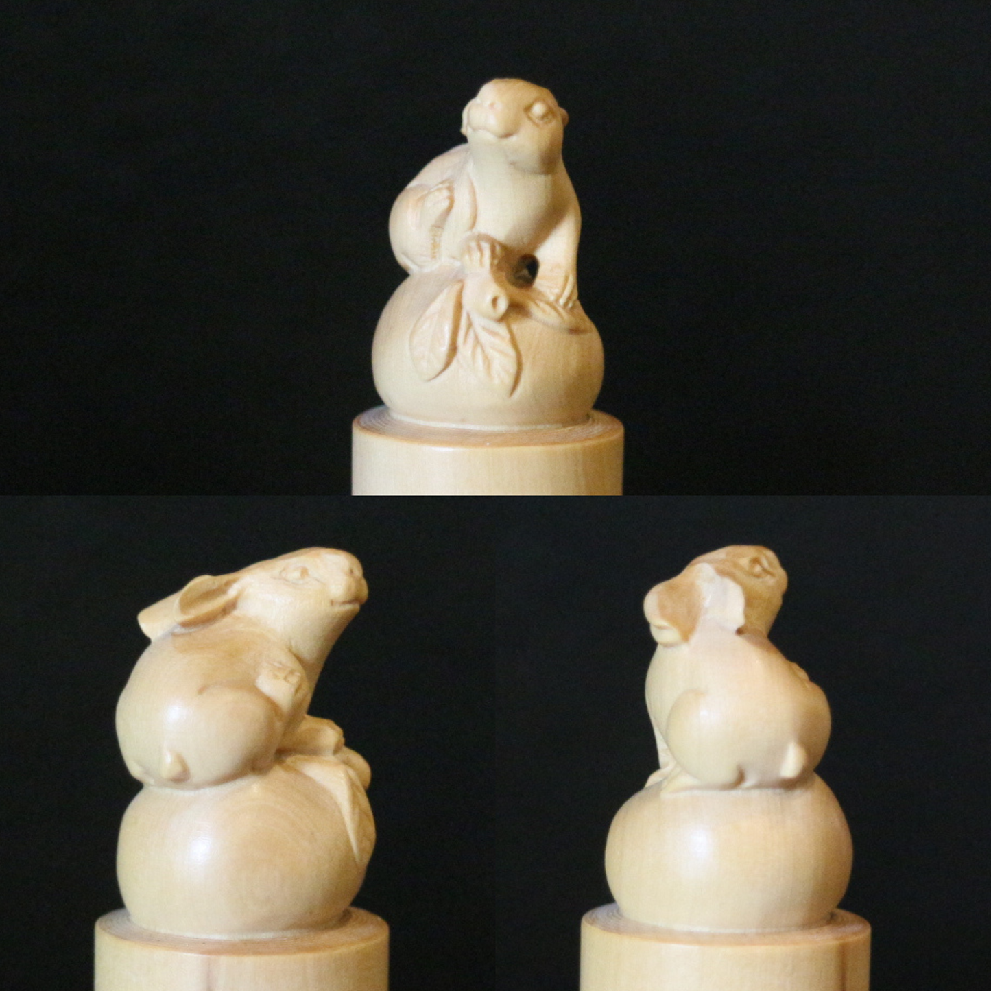 Boxwood Zodiac Seal