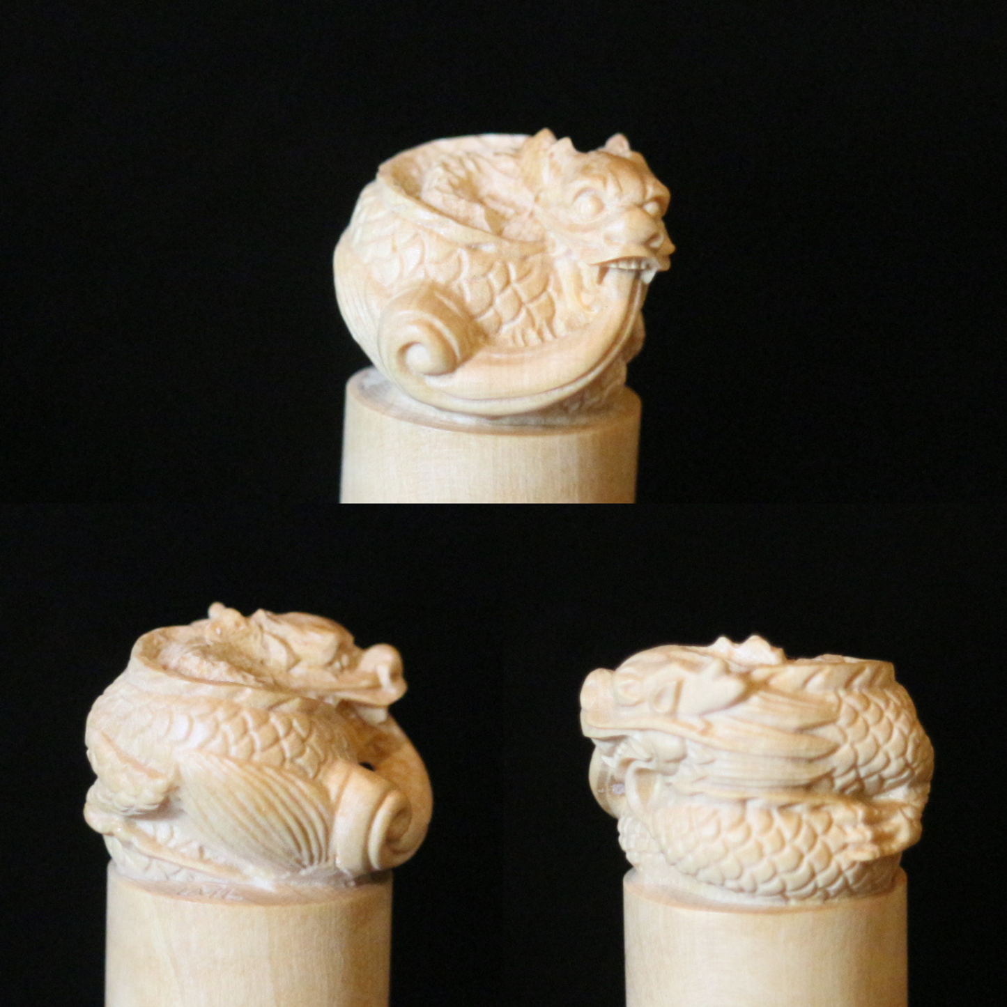 Boxwood Zodiac Seal