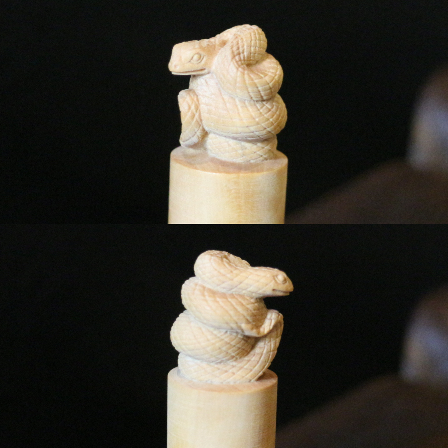 Boxwood Zodiac Seal