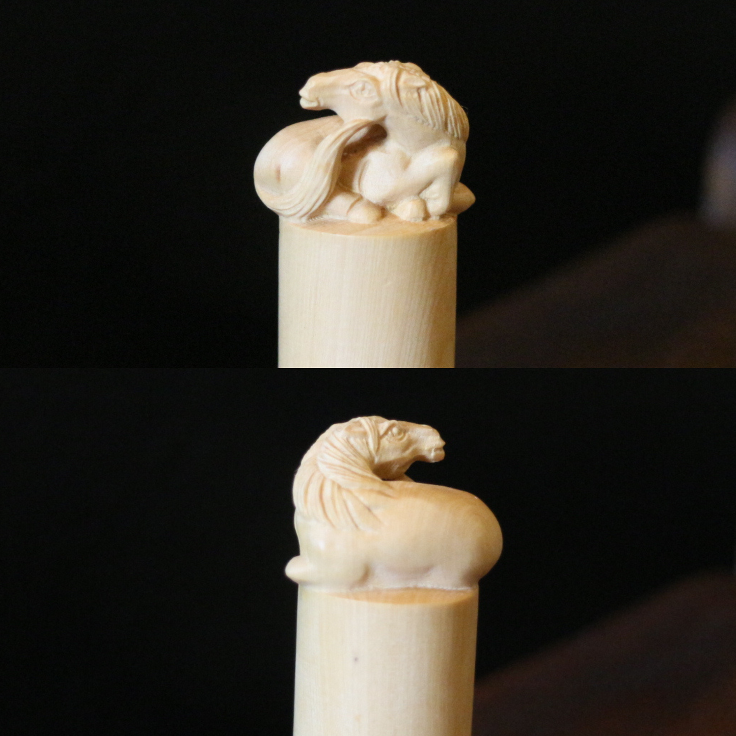 Boxwood Zodiac Seal