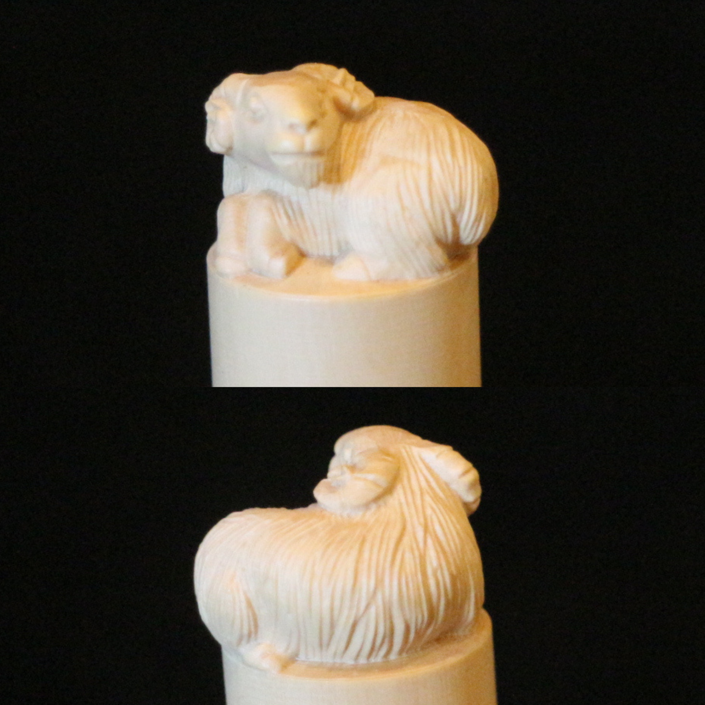 Boxwood Zodiac Seal