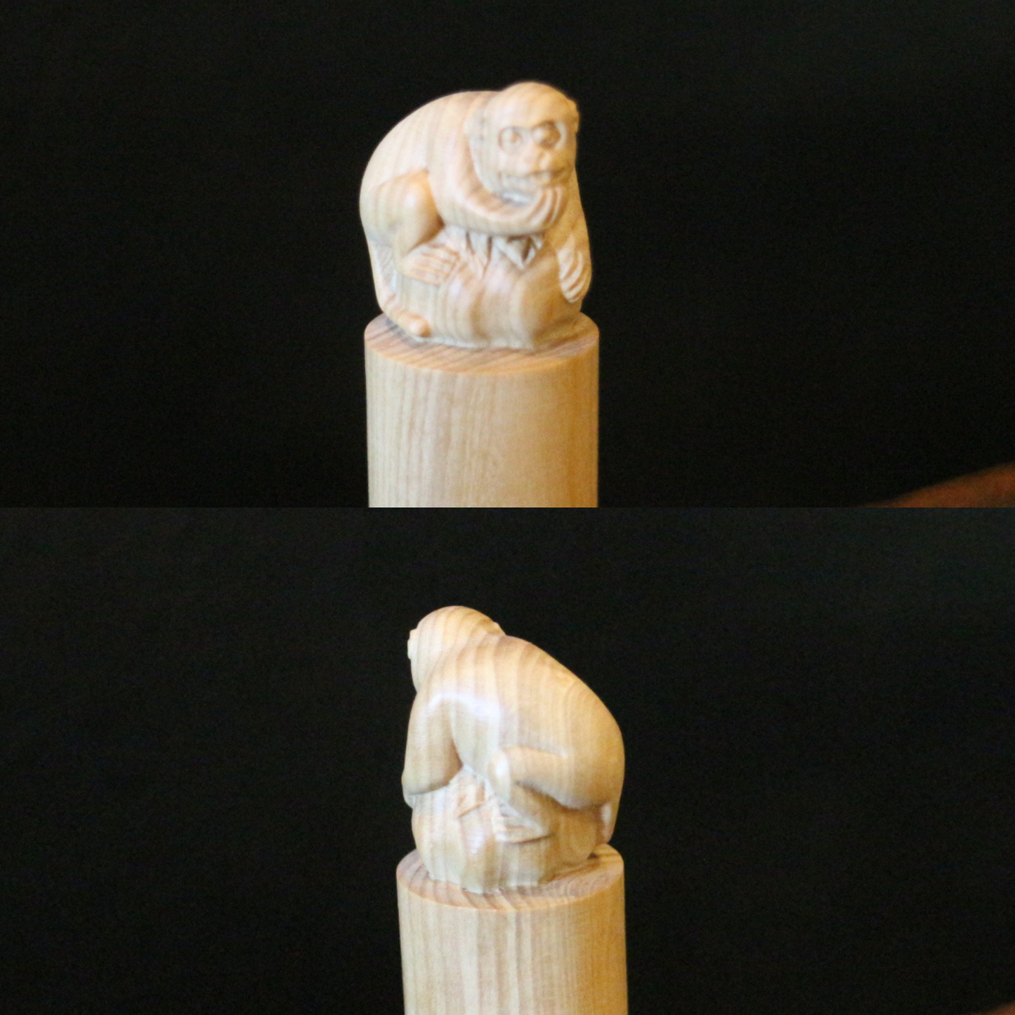 Boxwood Zodiac Seal