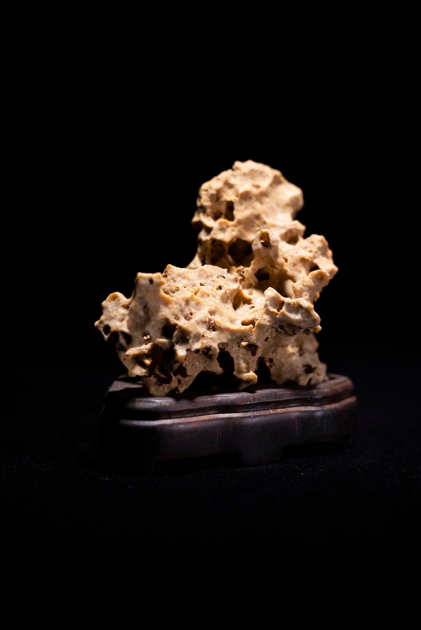 賞石擺件/湘西紫玲瓏 - 黃金甲香爐 Golden Xiangxi Taihu Stone Incense Burner