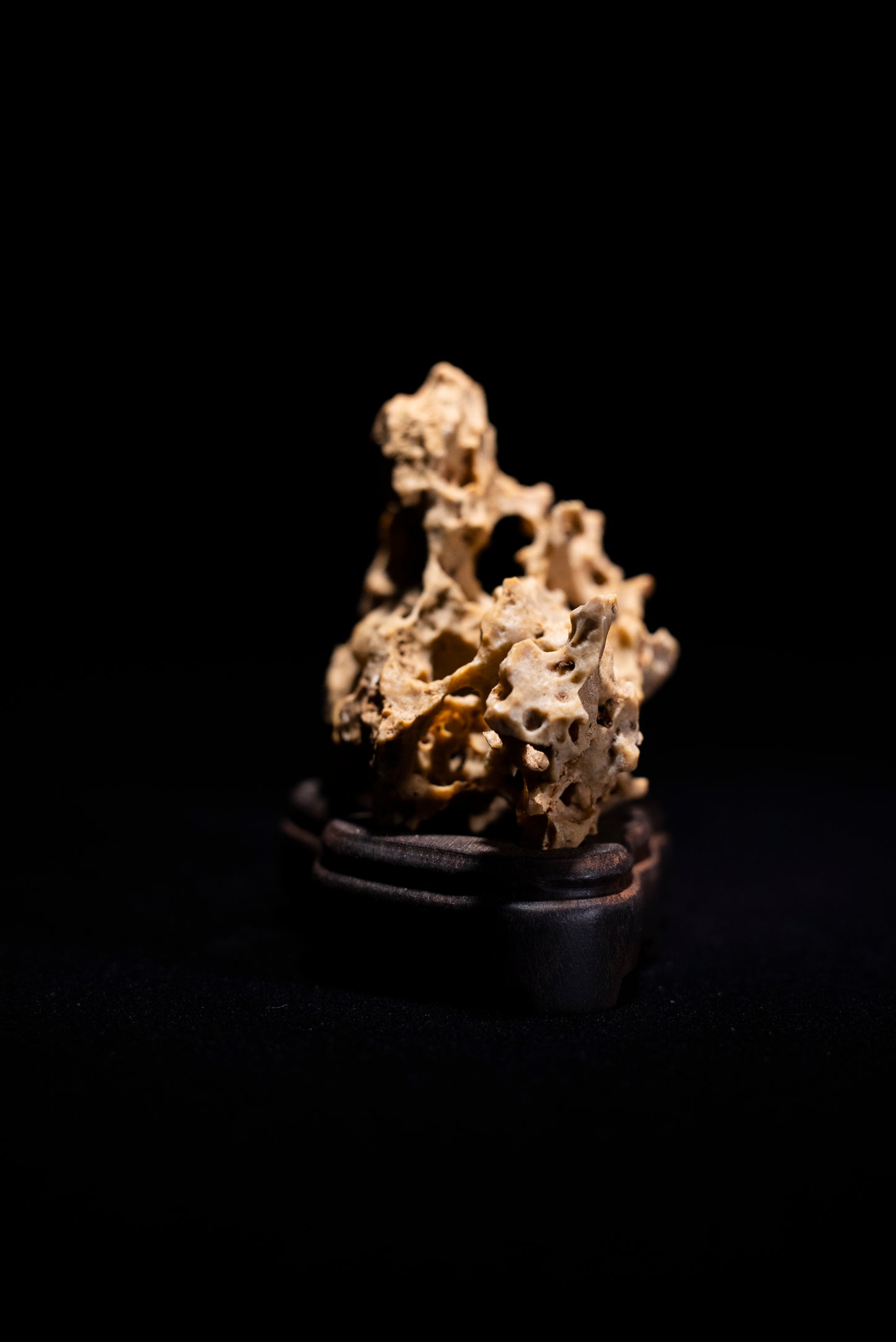賞石擺件/湘西紫玲瓏 - 黃金甲香爐 Golden Xiangxi Taihu Stone Incense Burner