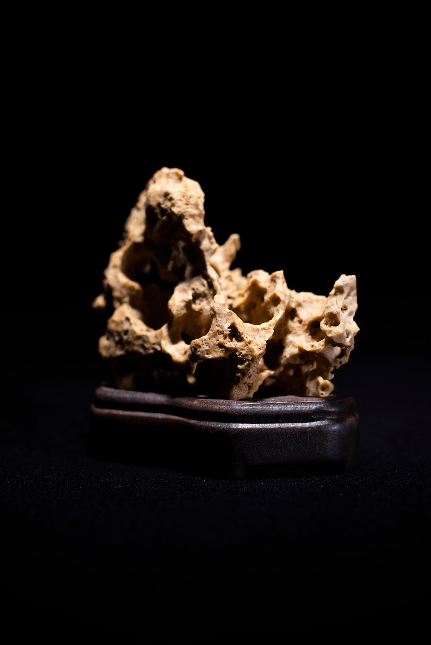 賞石擺件/湘西紫玲瓏 - 黃金甲香爐 Golden Xiangxi Taihu Stone Incense Burner