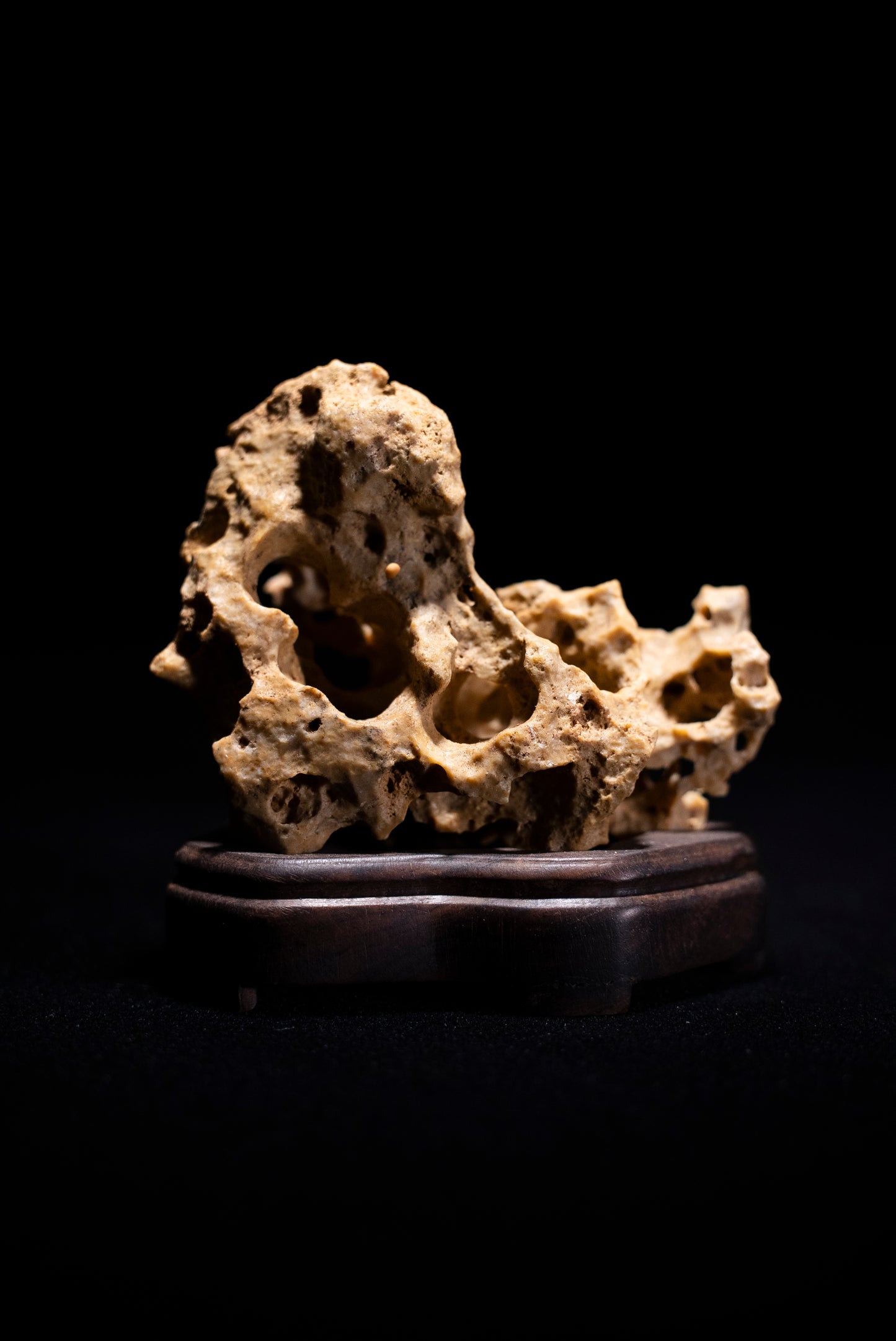 賞石擺件/湘西紫玲瓏 - 黃金甲香爐 Golden Xiangxi Taihu Stone Incense Burner