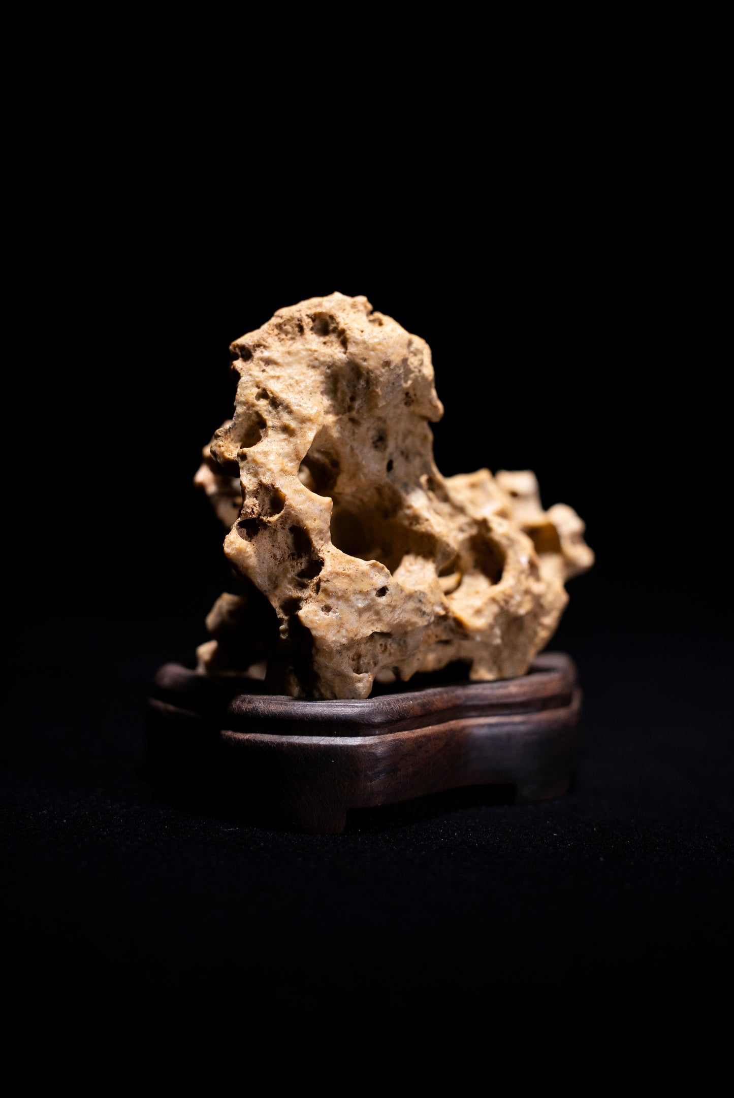 賞石擺件/湘西紫玲瓏 - 黃金甲香爐 Golden Xiangxi Taihu Stone Incense Burner