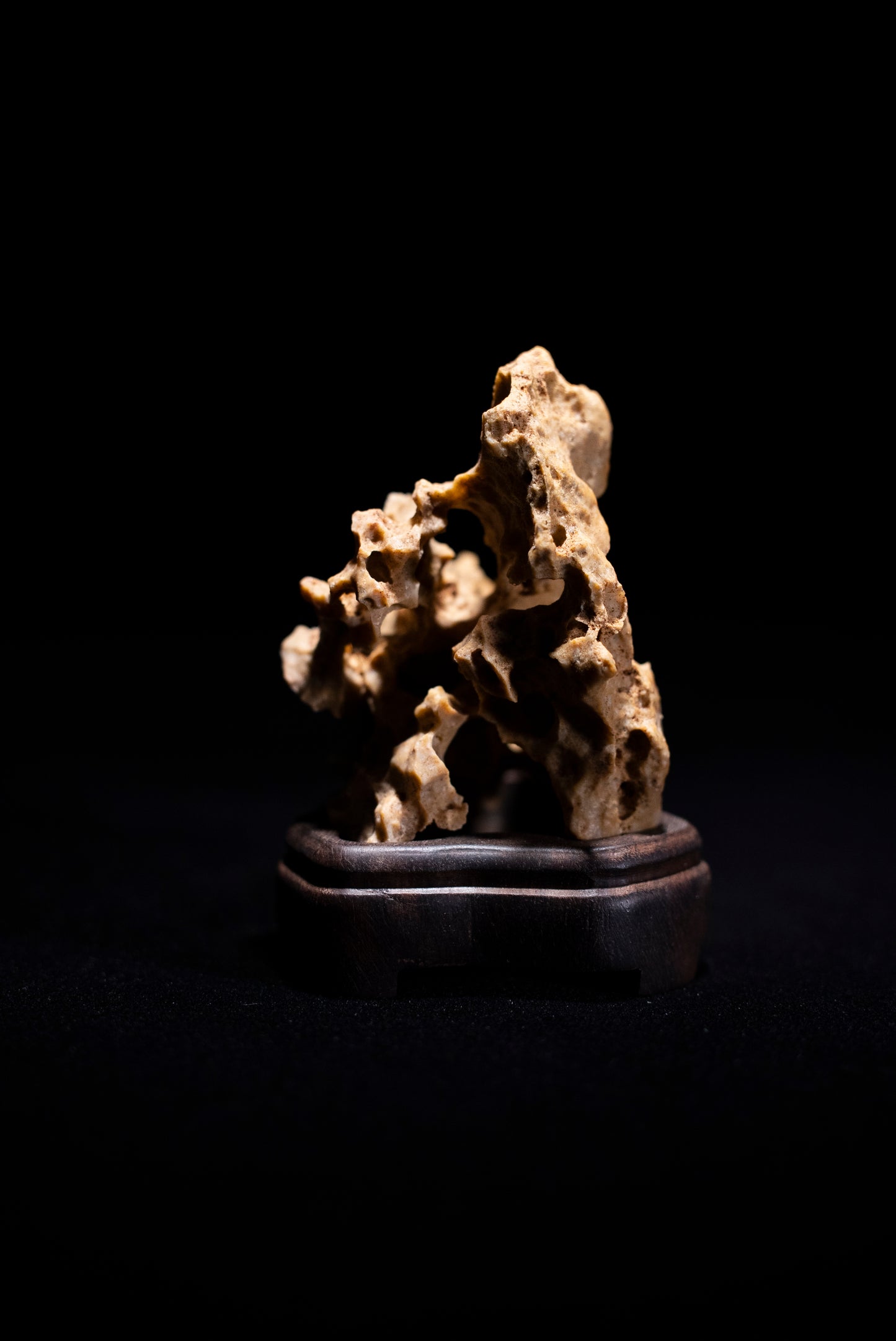 賞石擺件/湘西紫玲瓏 - 黃金甲香爐 Golden Xiangxi Taihu Stone Incense Burner