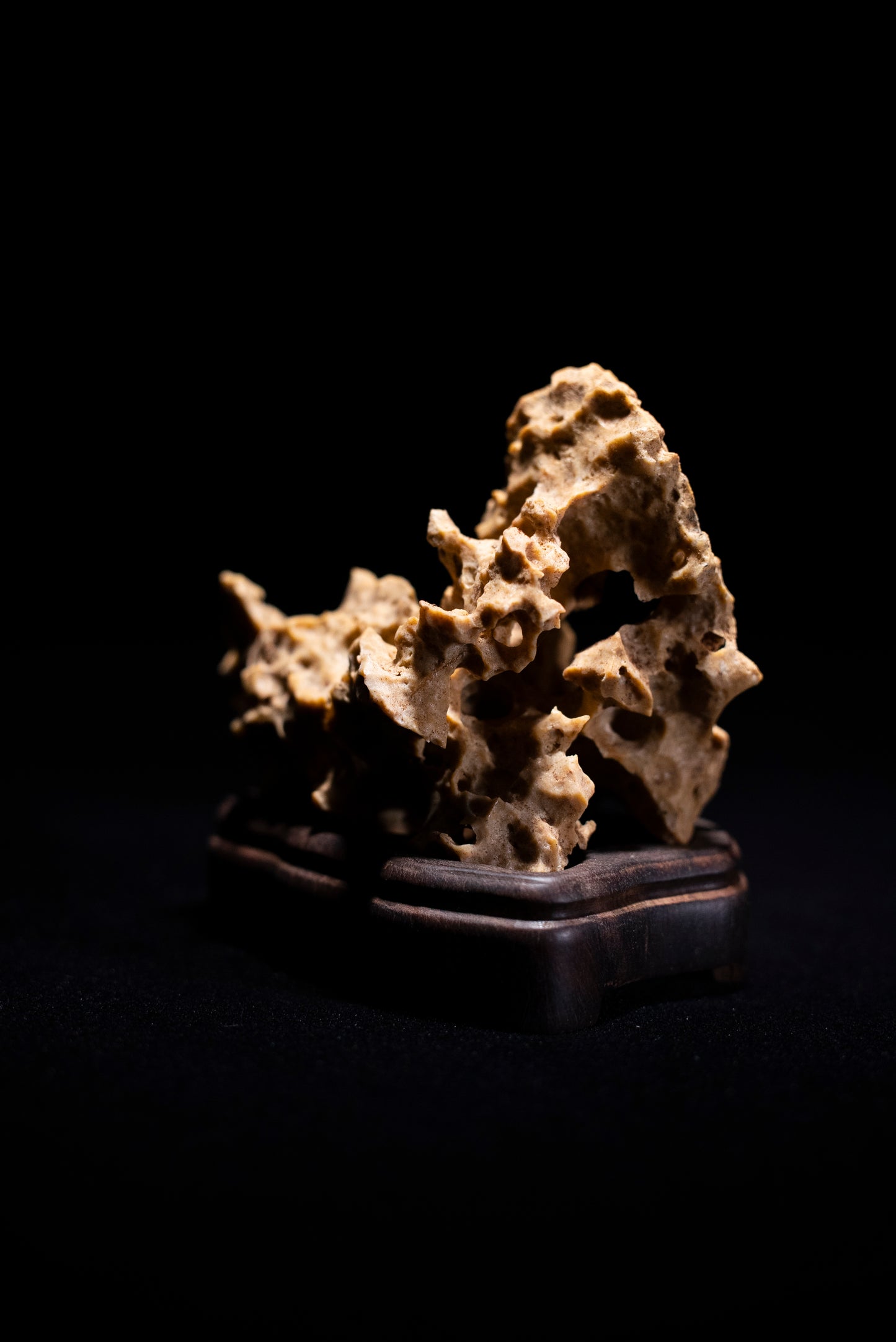 賞石擺件/湘西紫玲瓏 - 黃金甲香爐 Golden Xiangxi Taihu Stone Incense Burner