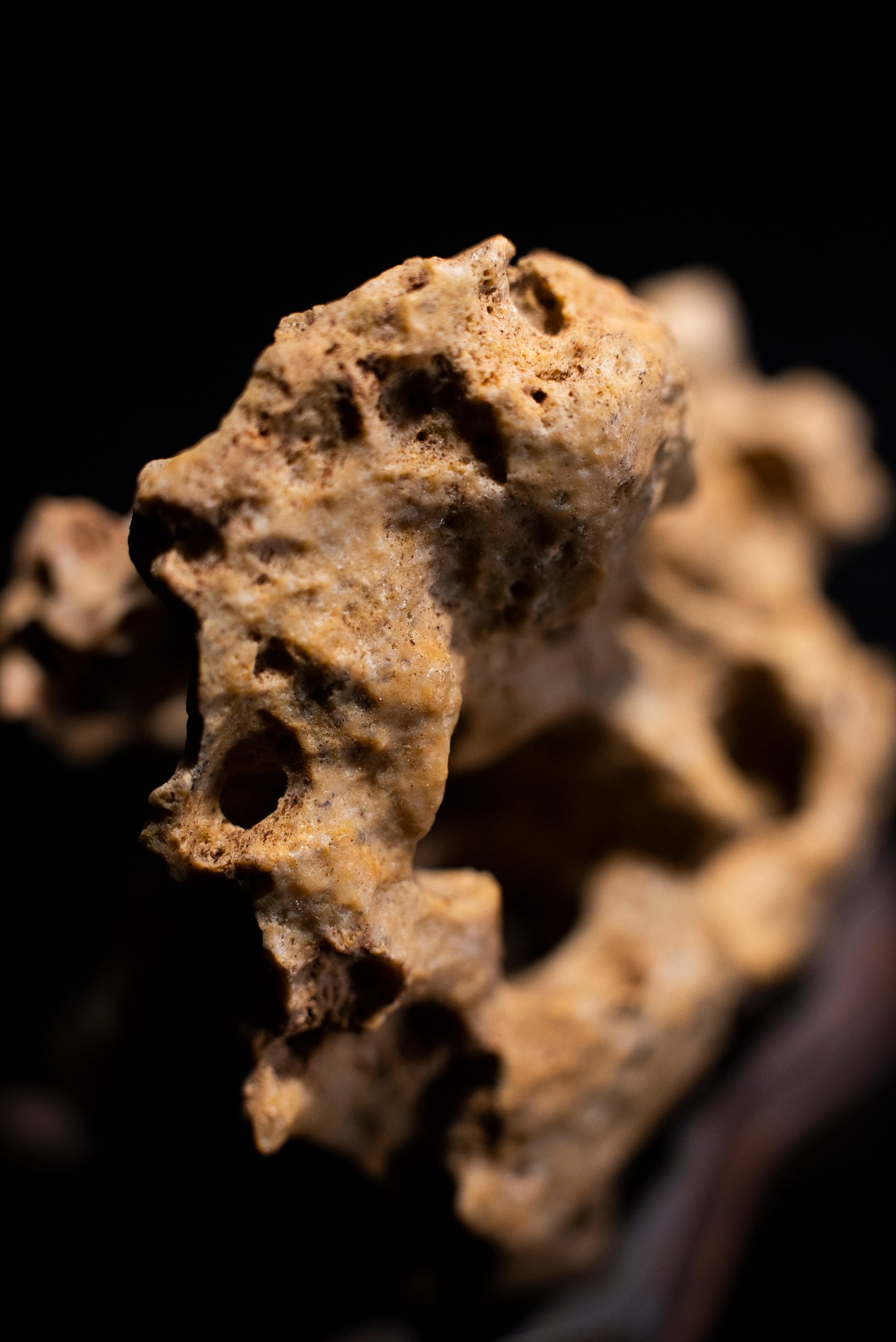 賞石擺件/湘西紫玲瓏 - 黃金甲香爐 Golden Xiangxi Taihu Stone Incense Burner