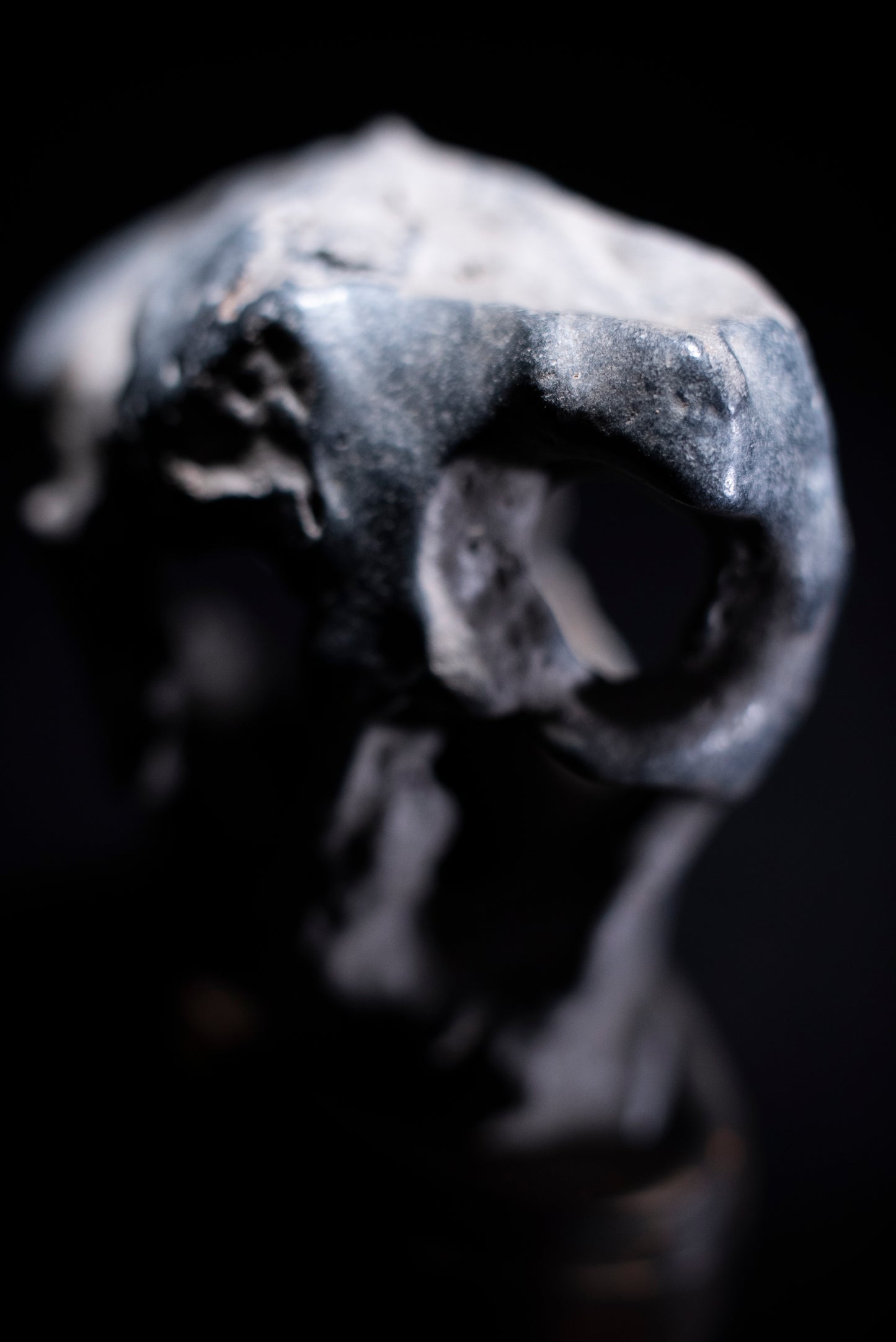 賞石擺件/貴州墨金石 Black Taihu Stone