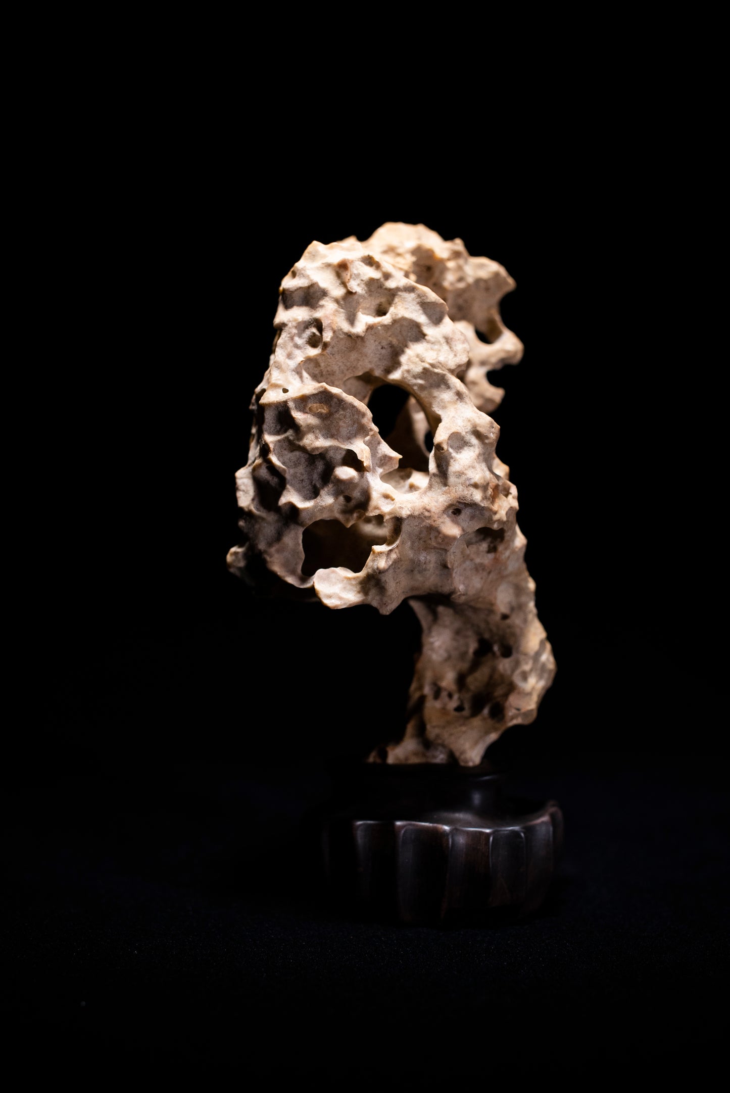 賞石擺件/湘西紫玲瓏 - 龍骨石 Xiangxi Taihu Stone