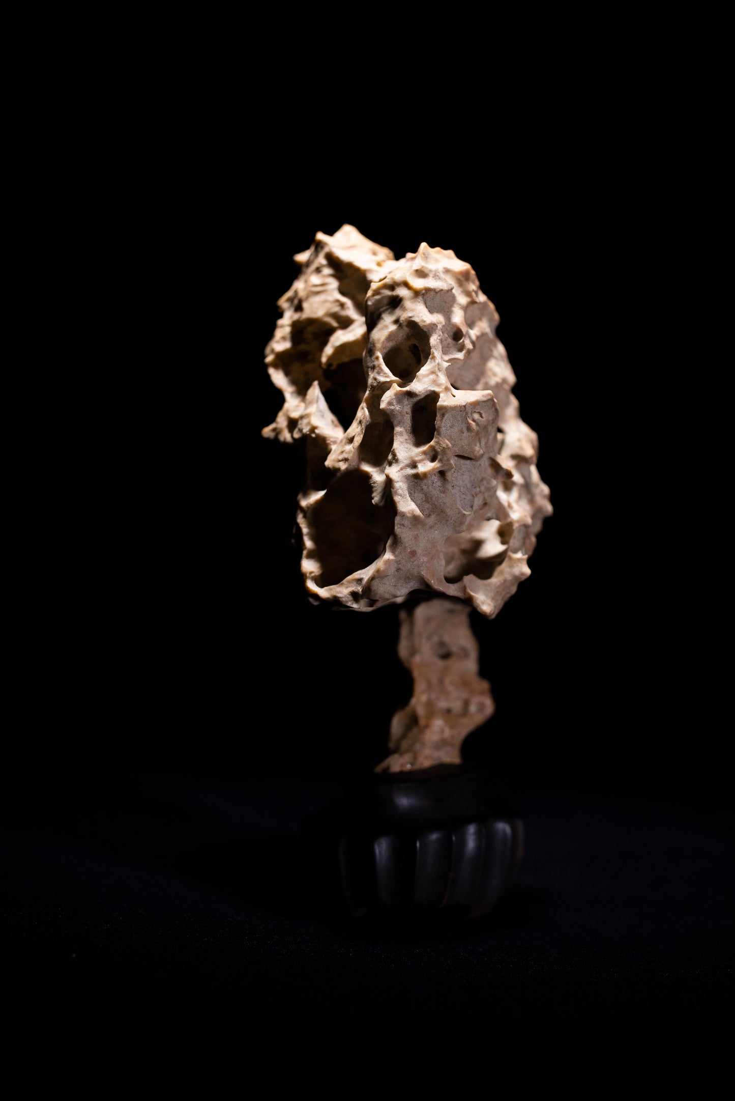 賞石擺件/湘西紫玲瓏 - 龍骨石 Xiangxi Taihu Stone