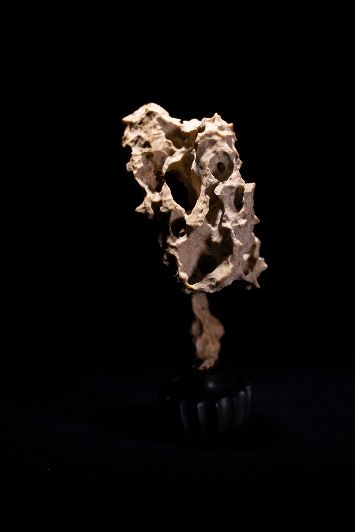 賞石擺件/湘西紫玲瓏 - 龍骨石 Xiangxi Taihu Stone