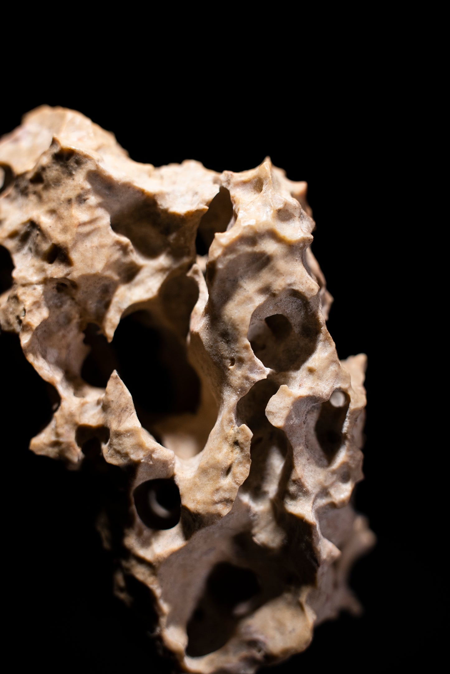 賞石擺件/湘西紫玲瓏 - 龍骨石 Xiangxi Taihu Stone