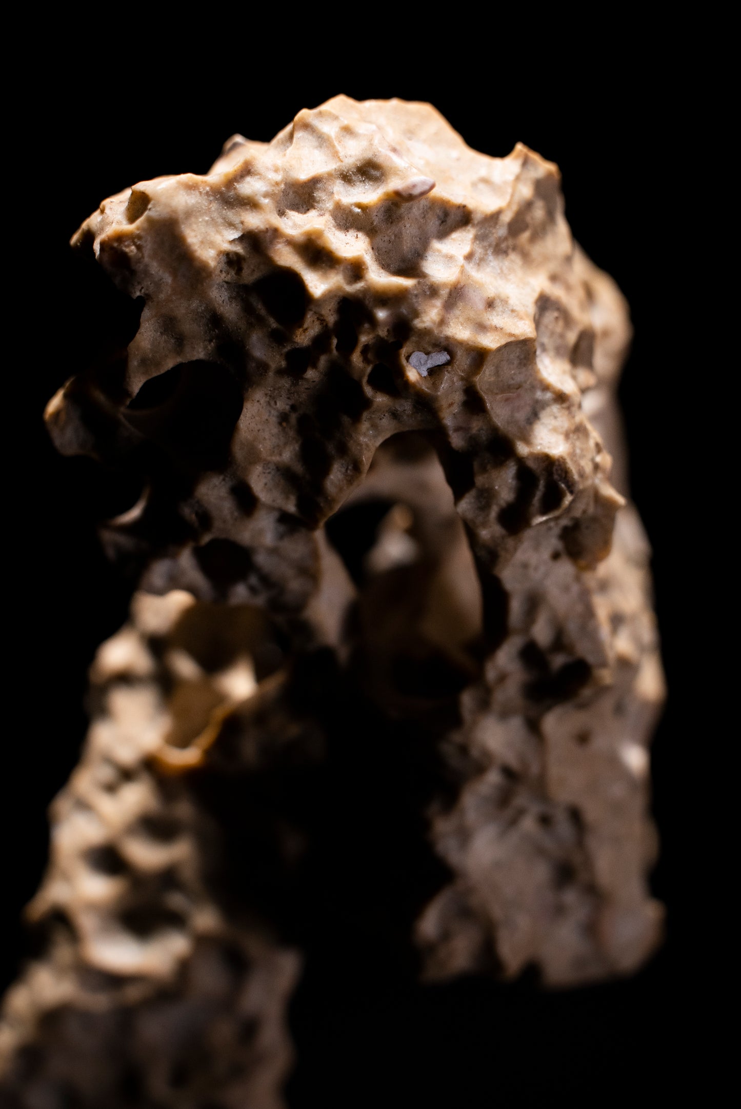 賞石擺件/湘西紫玲瓏 - 龍骨石 Xiangxi Taihu Stone
