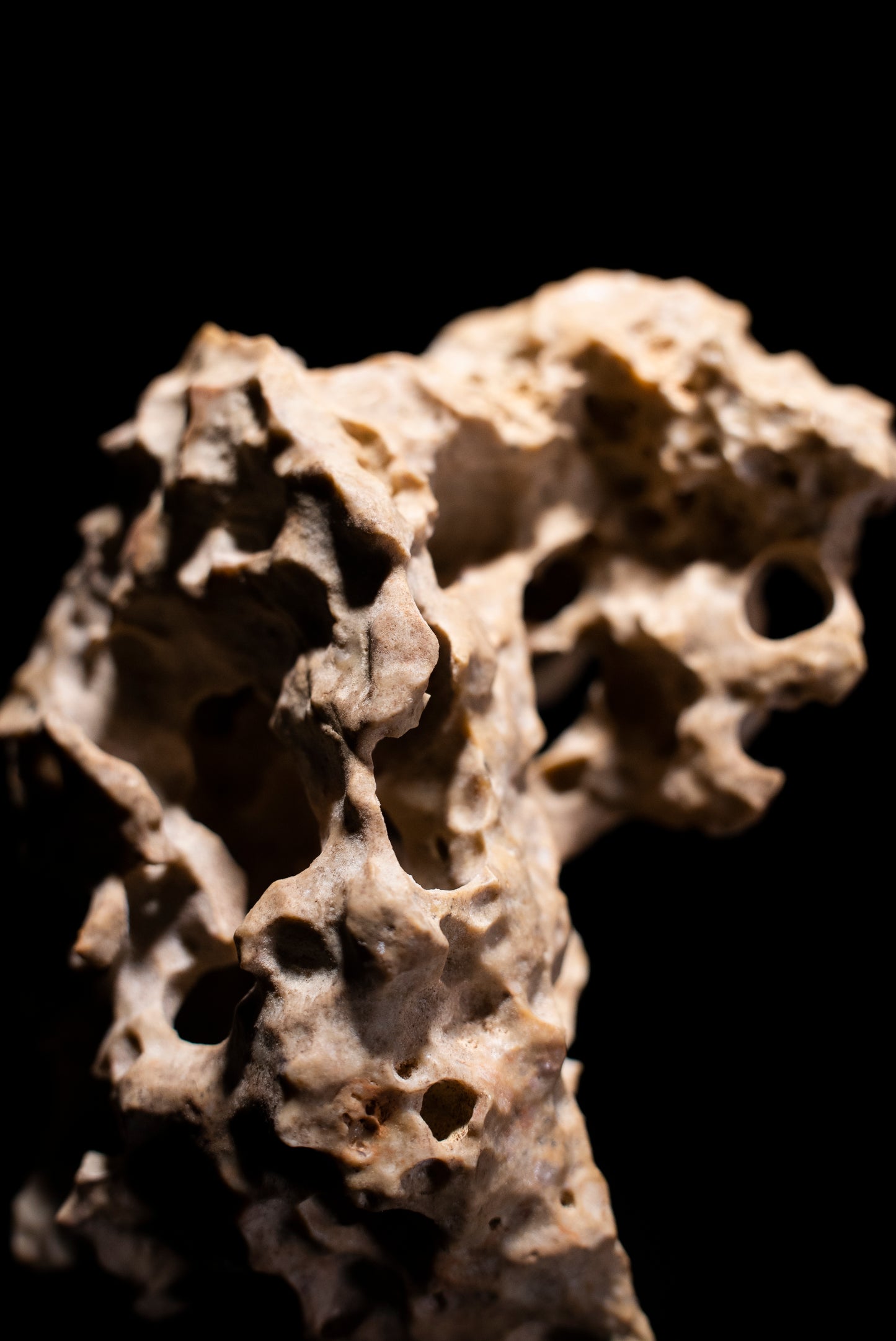賞石擺件/湘西紫玲瓏 - 龍骨石 Xiangxi Taihu Stone