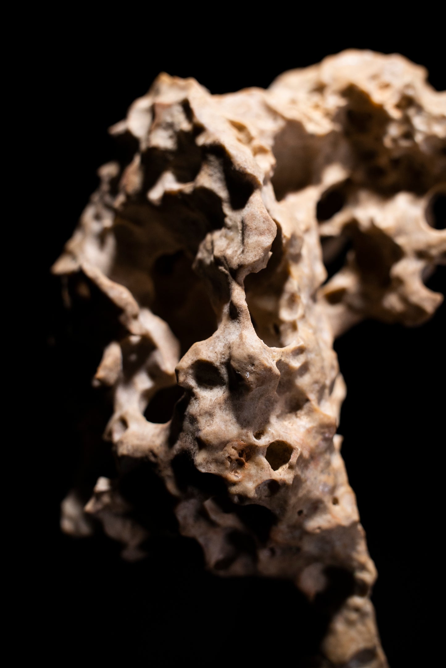 賞石擺件/湘西紫玲瓏 - 龍骨石 Xiangxi Taihu Stone