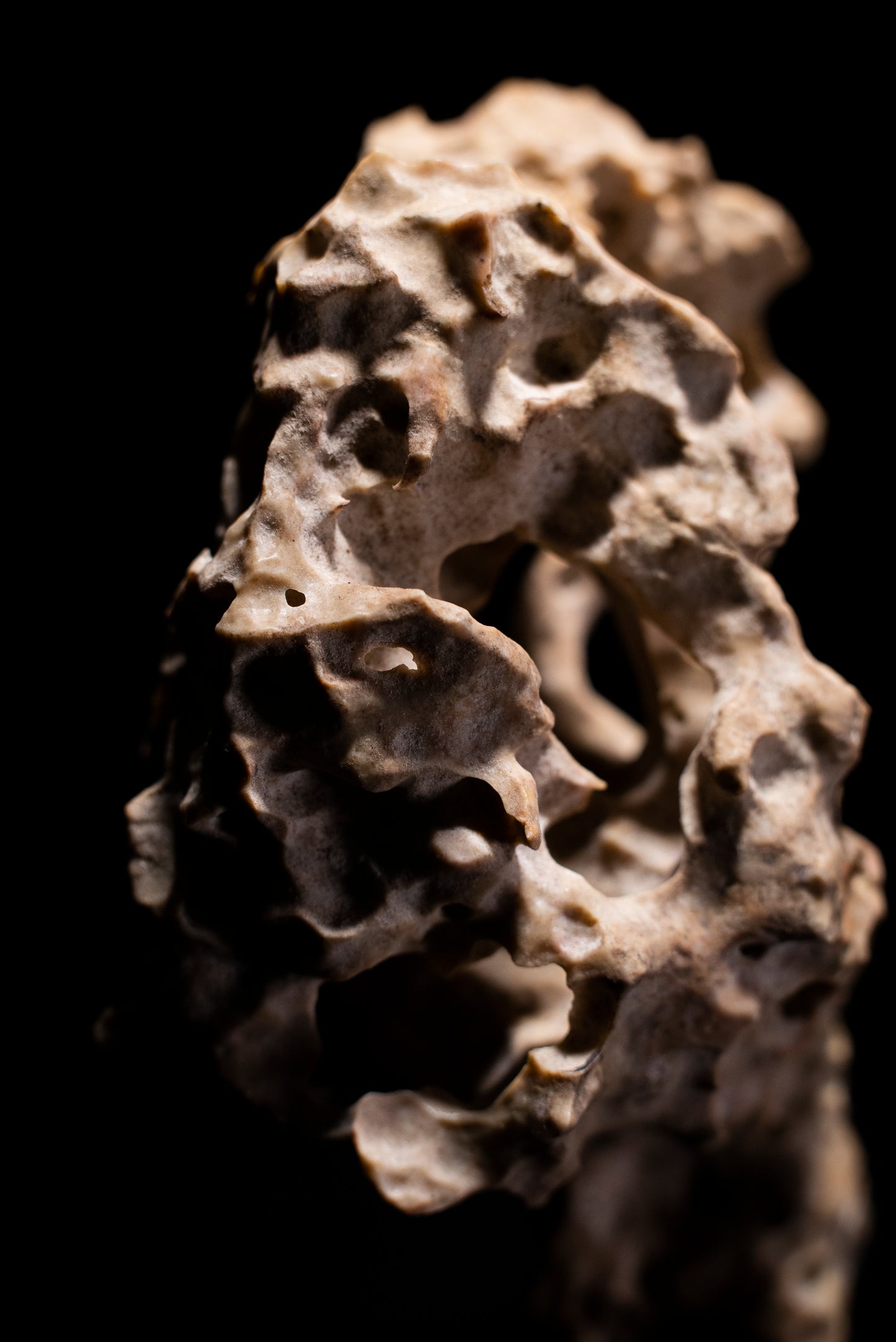 賞石擺件/湘西紫玲瓏 - 龍骨石 Xiangxi Taihu Stone