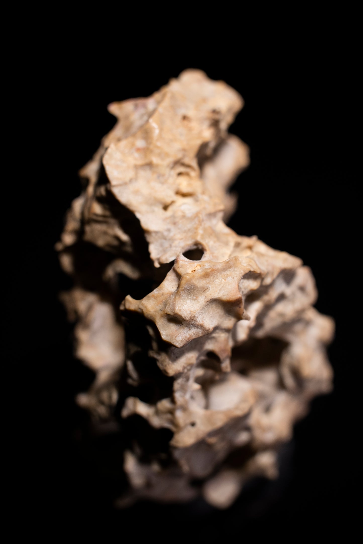 賞石擺件/湘西紫玲瓏 - 龍骨石 Xiangxi Taihu Stone