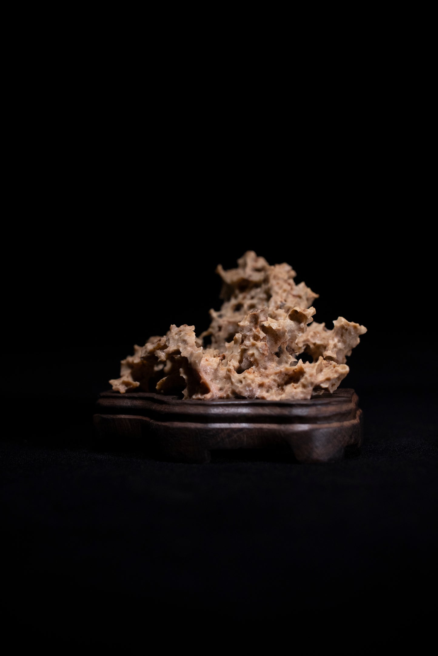 賞石擺件/湘西紫玲瓏 - 黃金甲香爐 Golden Xiangxi Taihu Stone Incense Burner