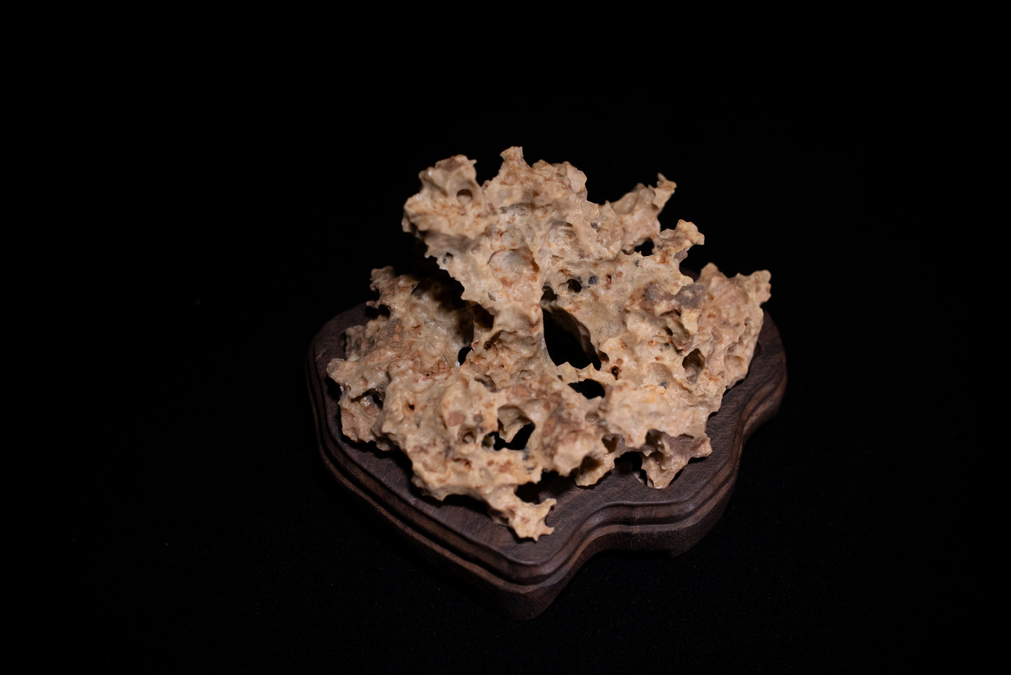 賞石擺件/湘西紫玲瓏 - 黃金甲香爐 Golden Xiangxi Taihu Stone Incense Burner