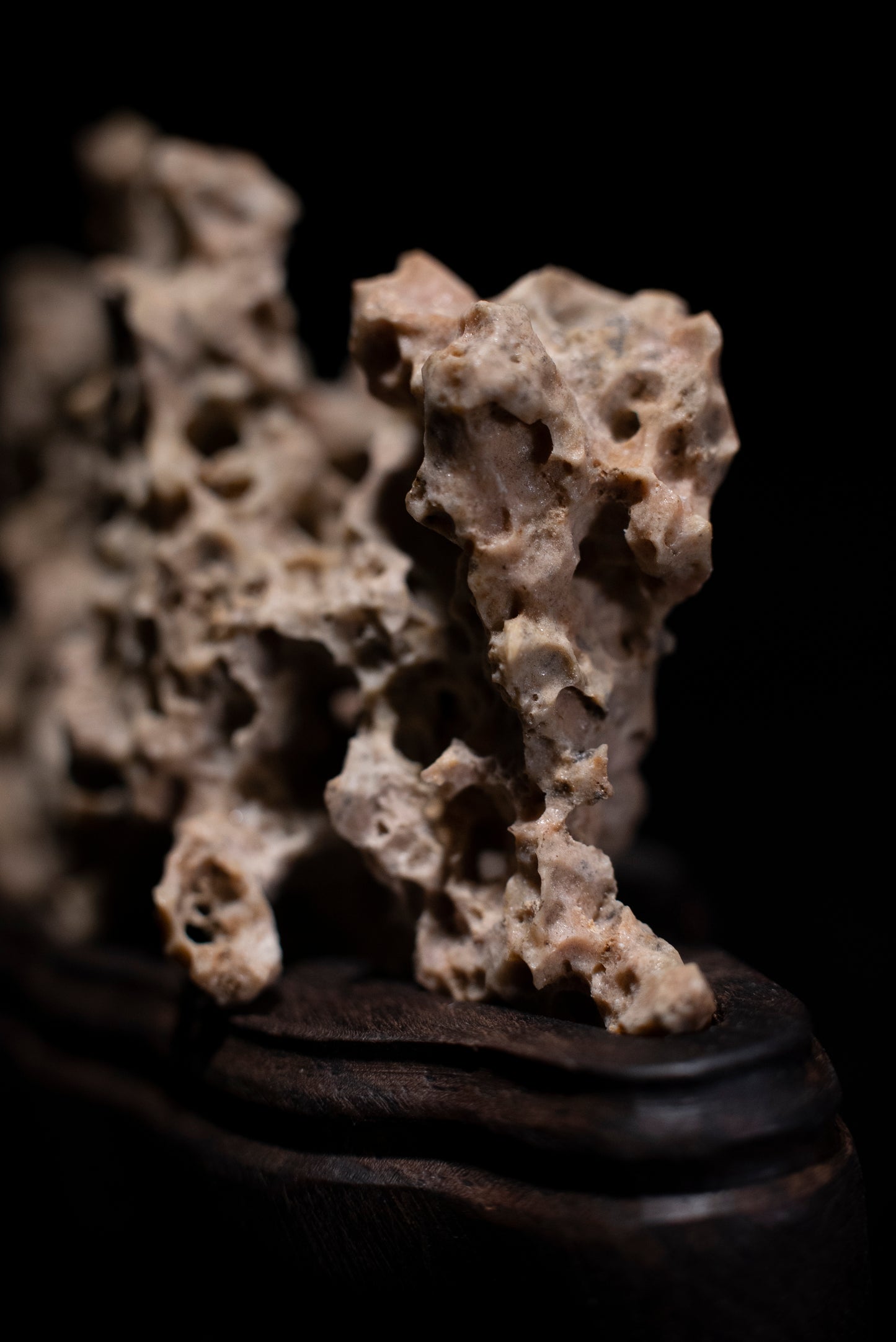 賞石擺件/湘西紫玲瓏 - 黃金甲香爐 Golden Xiangxi Taihu Stone Incense Burner