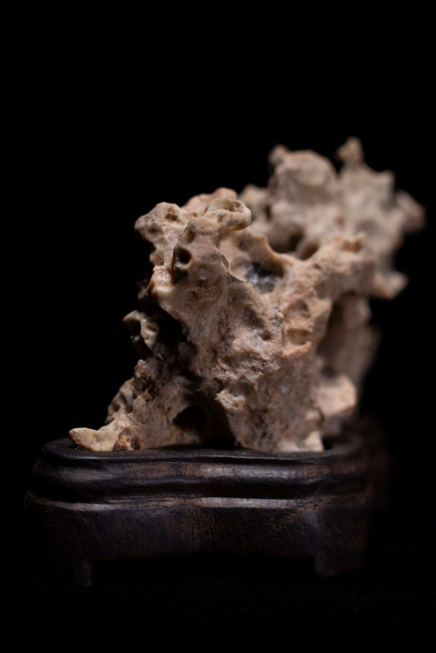 賞石擺件/湘西紫玲瓏 - 黃金甲香爐 Golden Xiangxi Taihu Stone Incense Burner