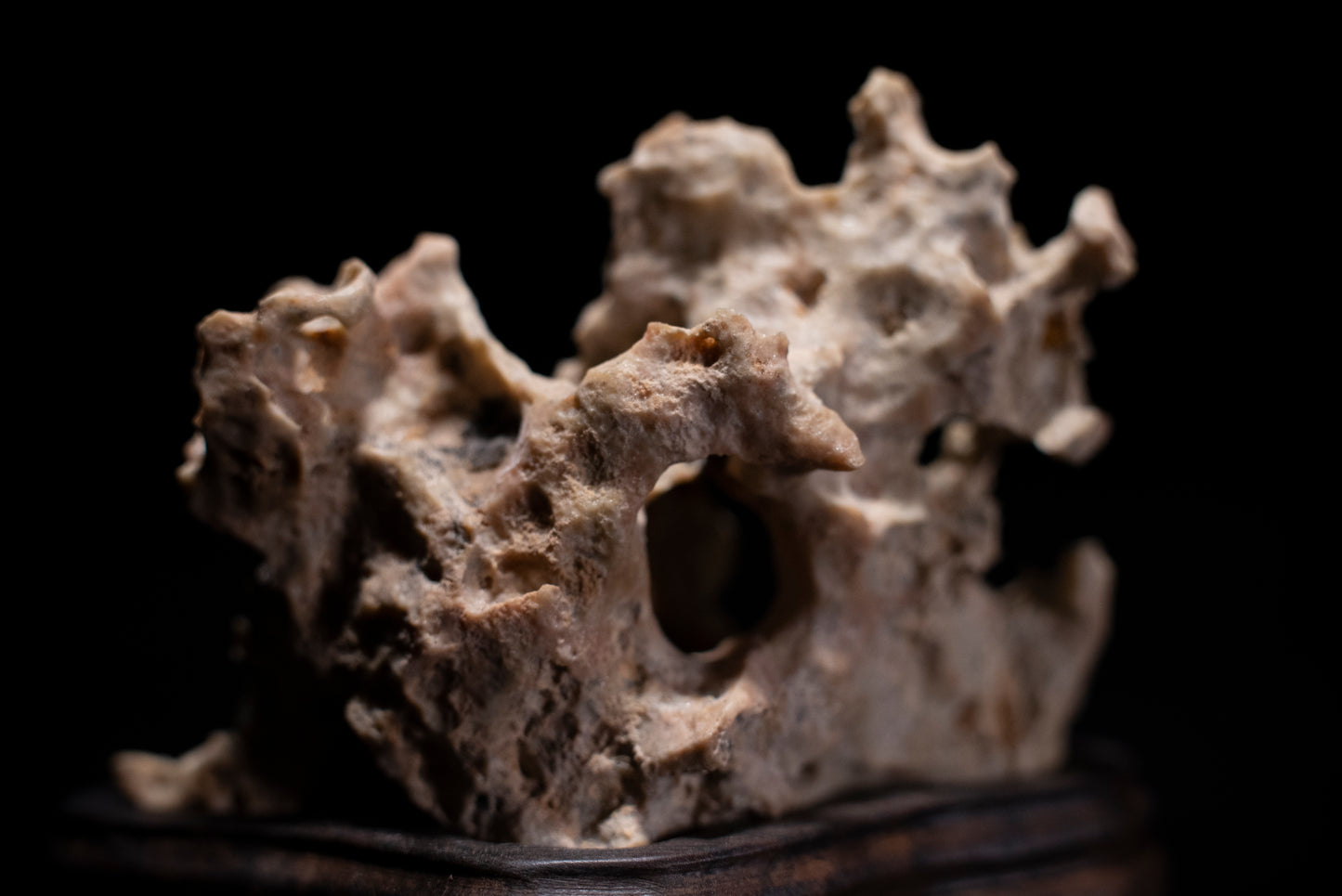 賞石擺件/湘西紫玲瓏 - 黃金甲香爐 Golden Xiangxi Taihu Stone Incense Burner