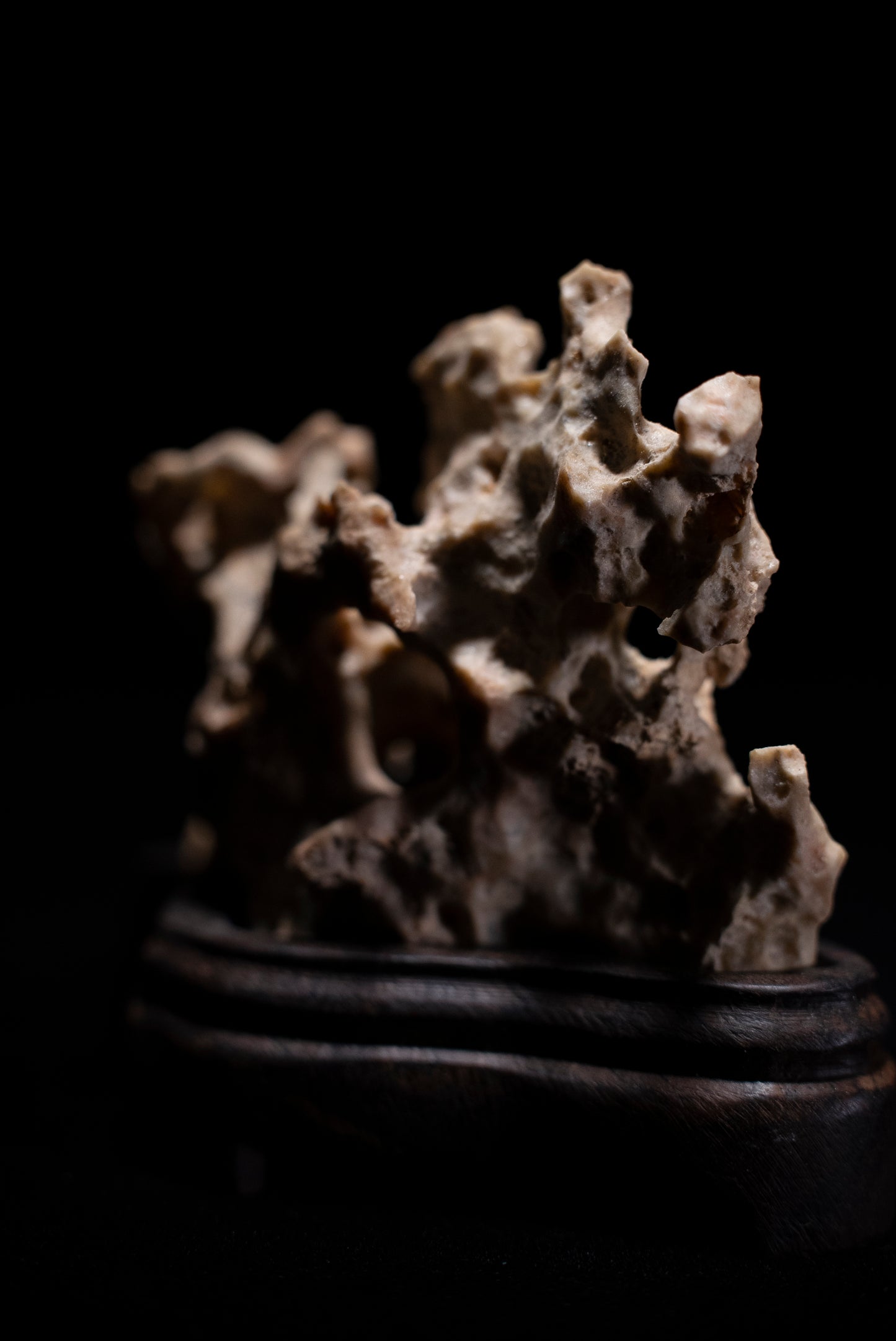 賞石擺件/湘西紫玲瓏 - 黃金甲香爐 Golden Xiangxi Taihu Stone Incense Burner