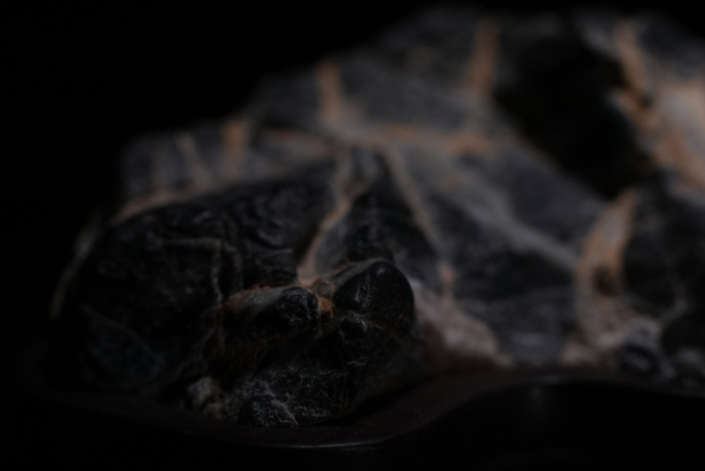 賞石擺件/靈璧石
