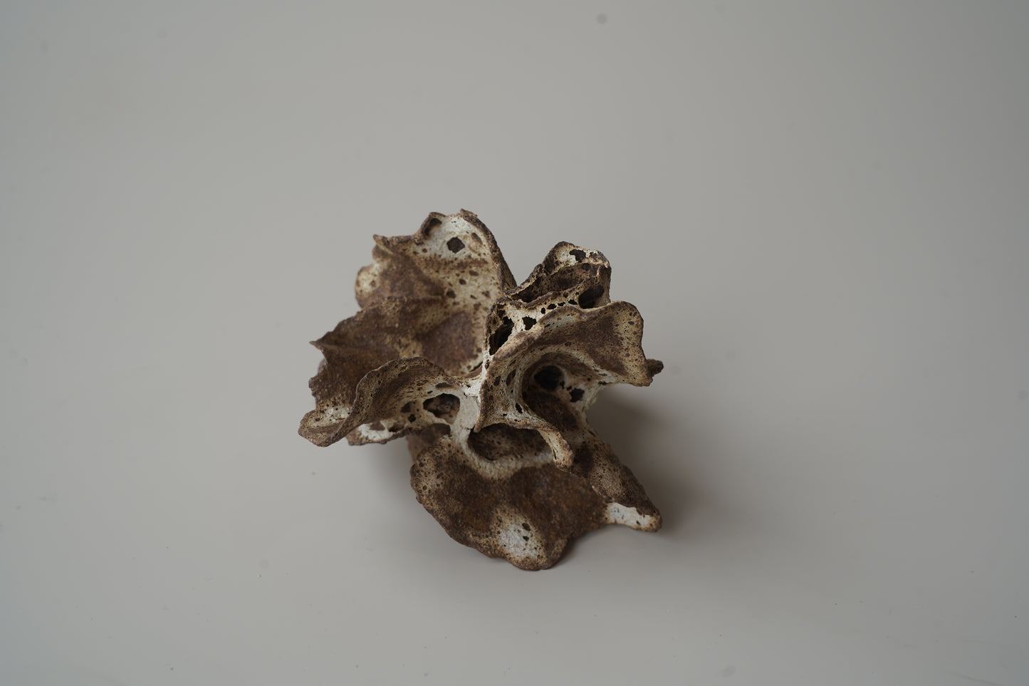 手捏木耳型裝飾物-立體花/白咖色