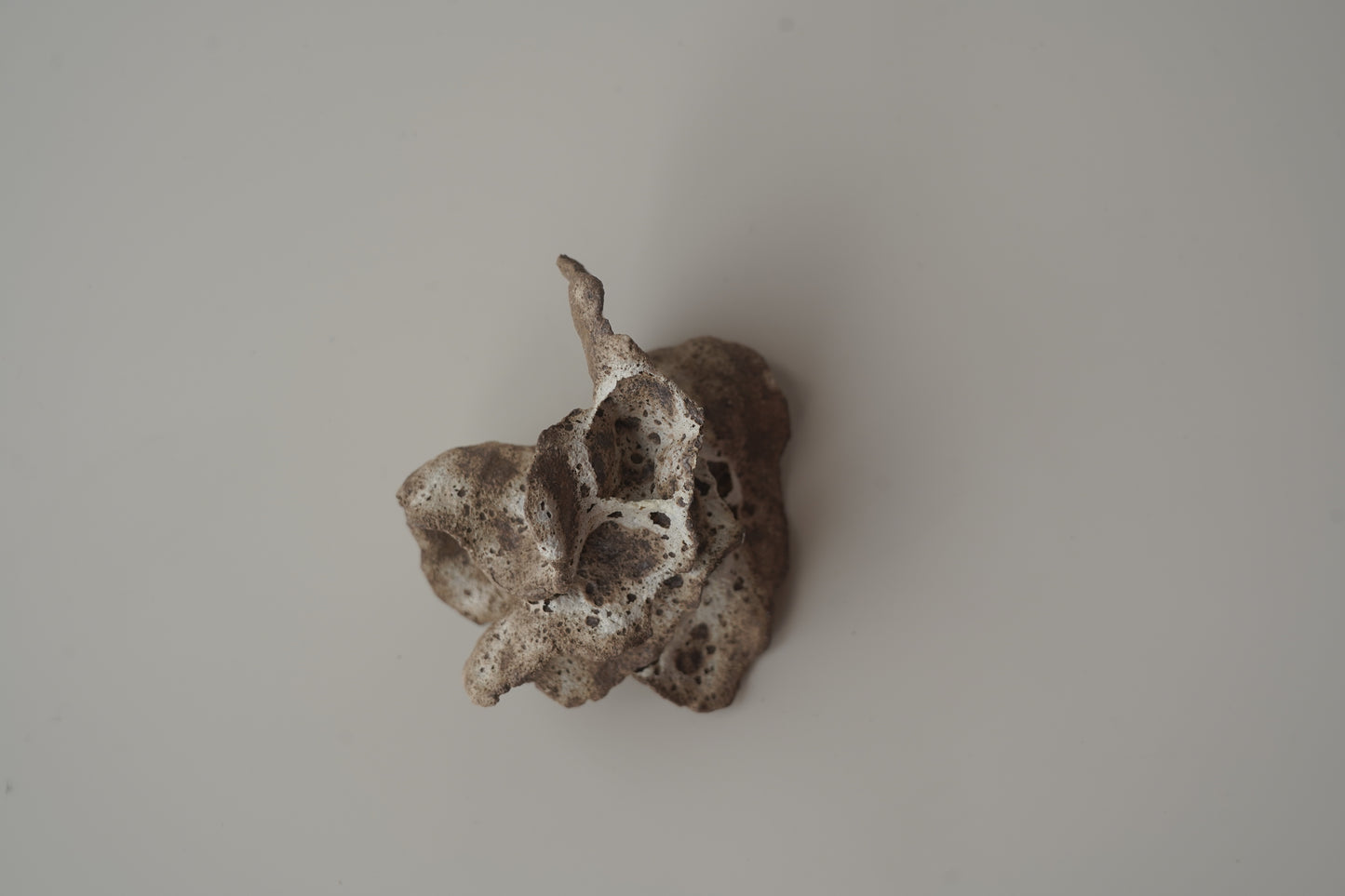 手捏木耳型裝飾物-立體花/白咖色