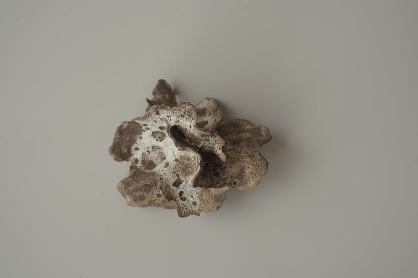 手捏木耳型裝飾物-立體花/白咖色