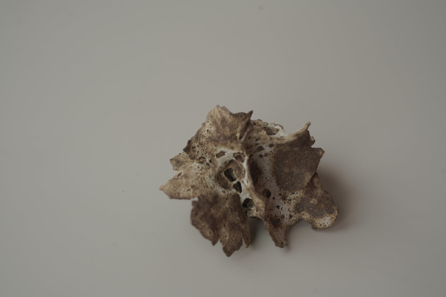 手捏木耳型裝飾物-立體花/白咖色