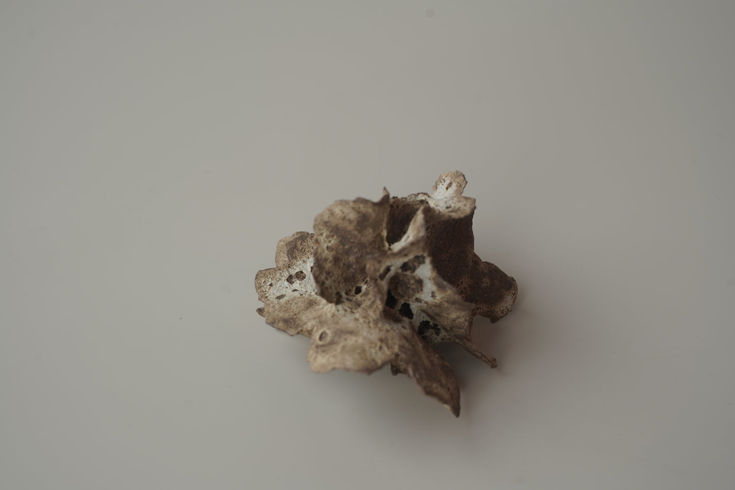 手捏木耳型裝飾物-立體花/白咖色
