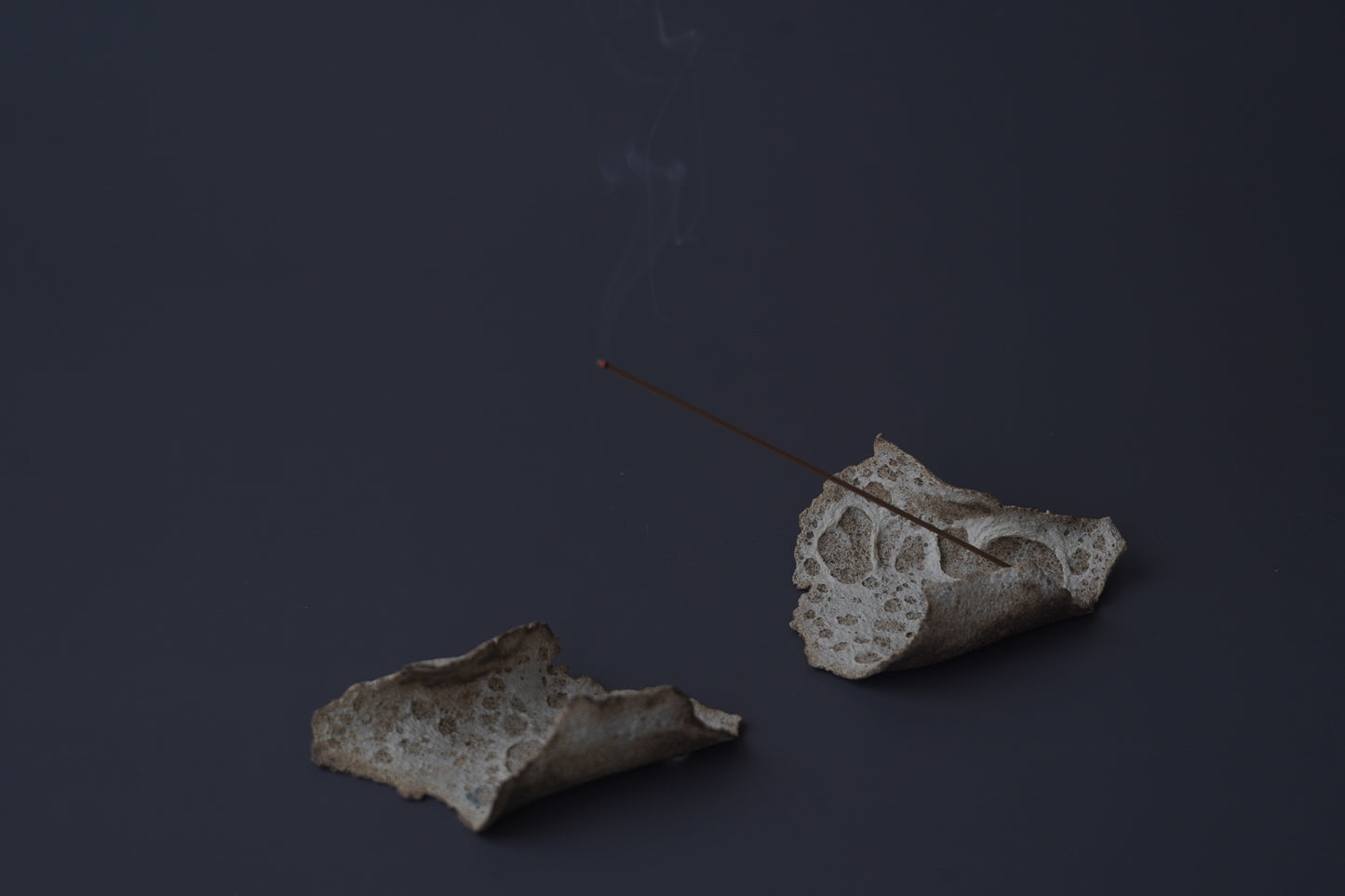 殘片臥香座/月球洞洞白