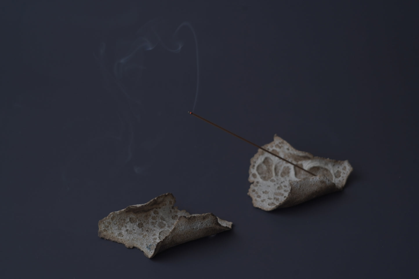 殘片臥香座/月球洞洞白