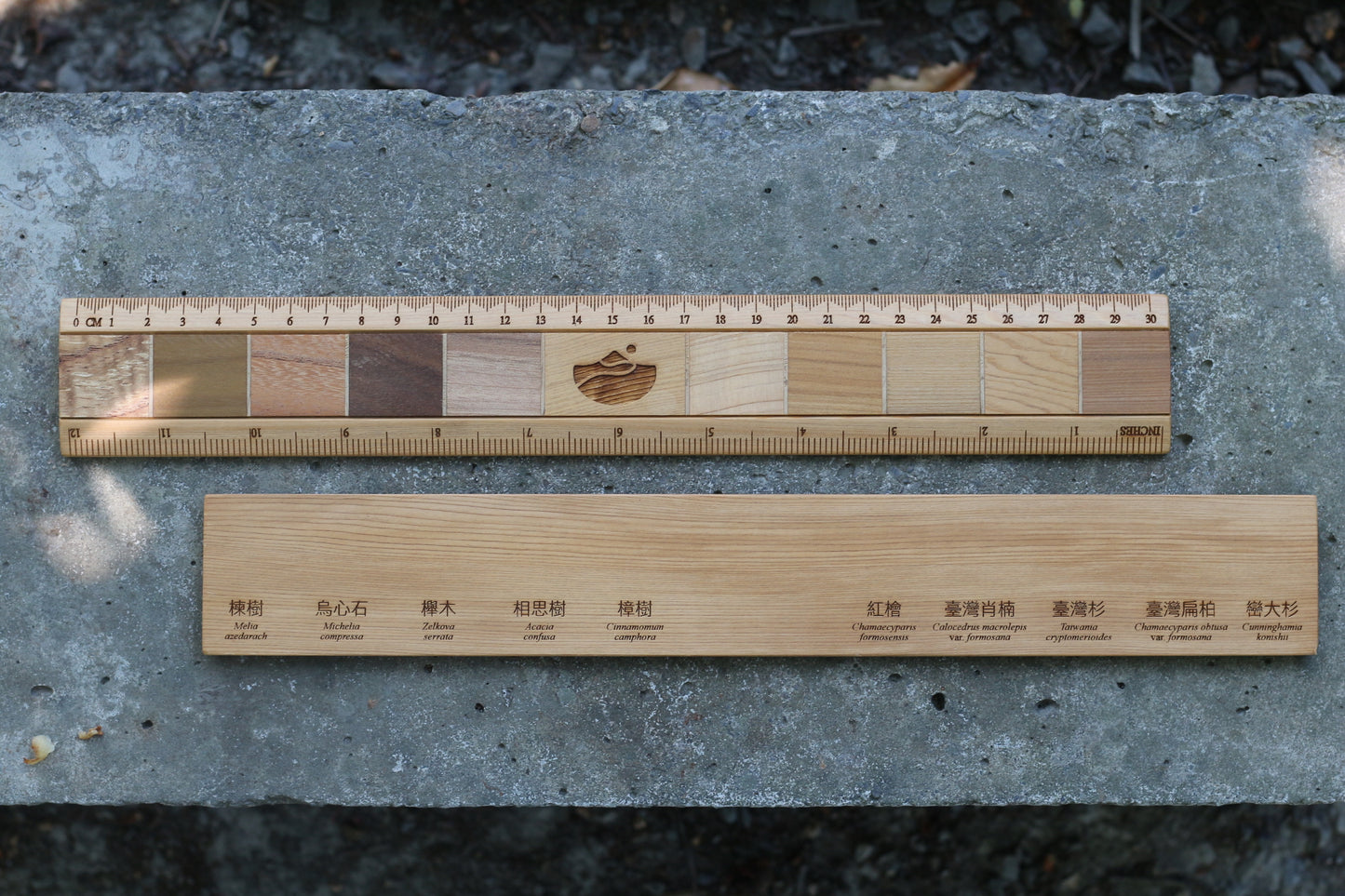 tree species ruler