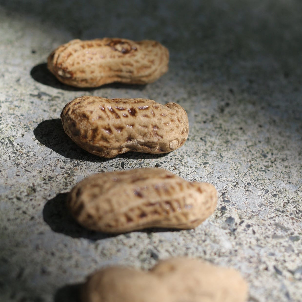 Clay Sculpture Imitating Peanuts