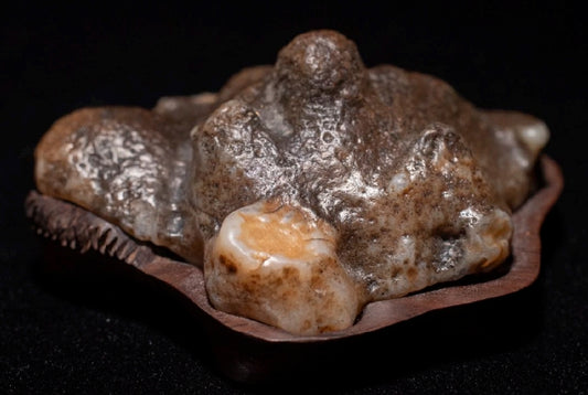 賞石擺件/戈壁老皮沙漠漆石 Gebi Aged Skin Desert Varnished Stone
