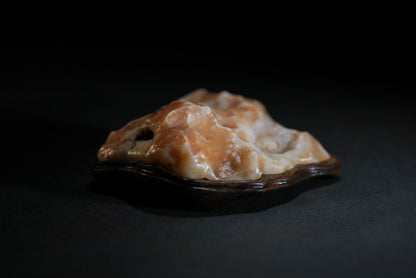 賞石擺件/戈壁石- 沙漠漆 Gebi Stone - Dessert Varnish