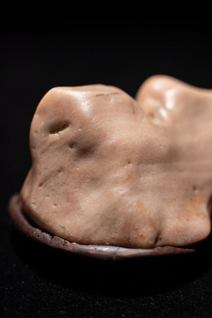 賞石擺件/戈壁石碧玉 Gebi Stones