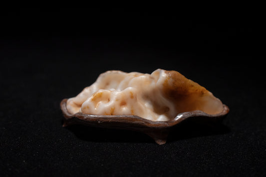 賞石擺件/戈壁沙漠漆瑪瑙石 Gebi Desert Varnish Agate Stone
