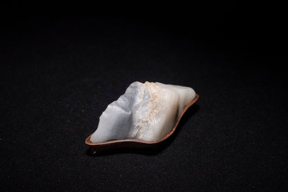 賞石擺件/戈壁瑪瑙石 - 青花玉 Gebi Stone