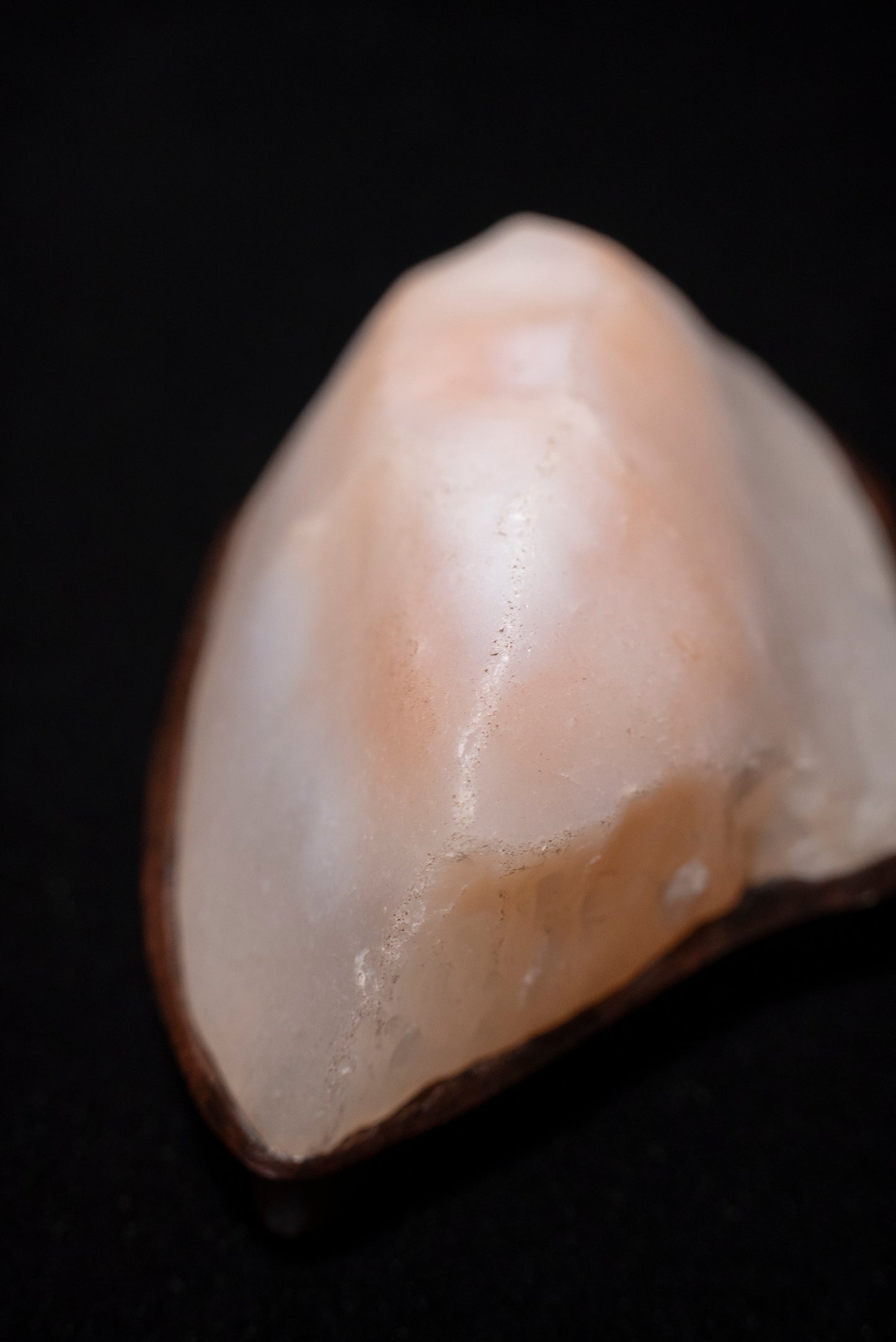 賞石擺件/戈壁石 Gebi Stones
